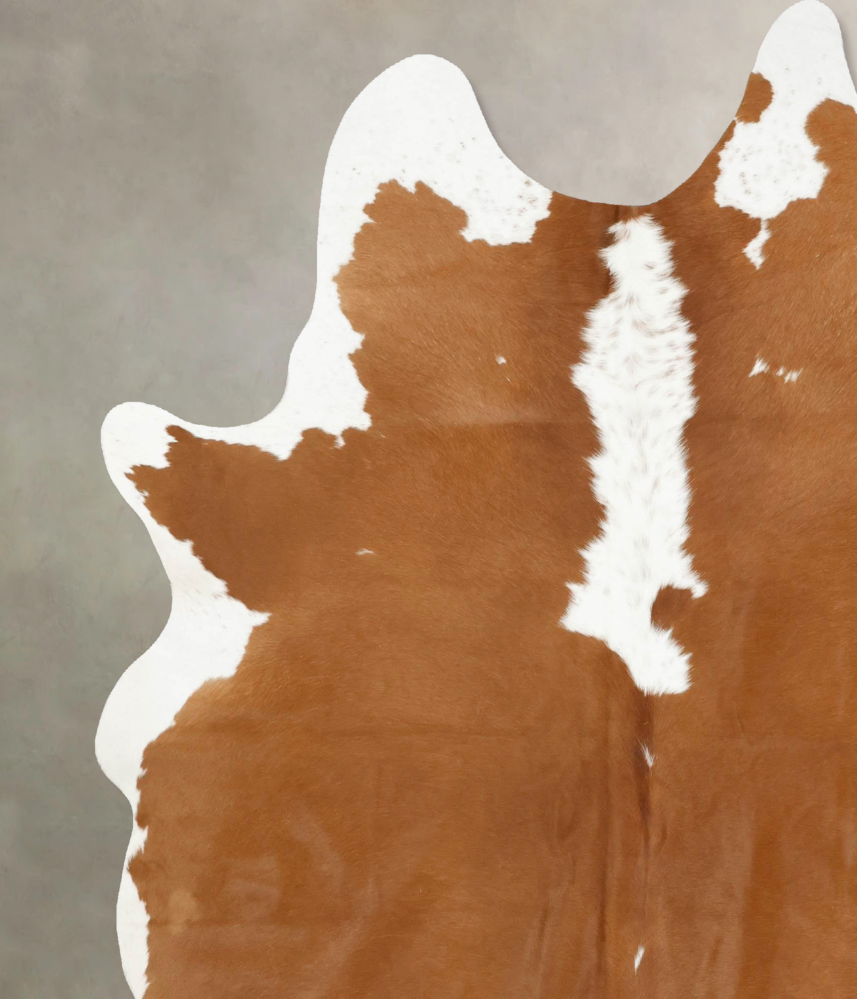Hereford XX-Large Brazilian Cowhide Rug 8'2"H x 6'8"W #B14310 by Hudson Hides