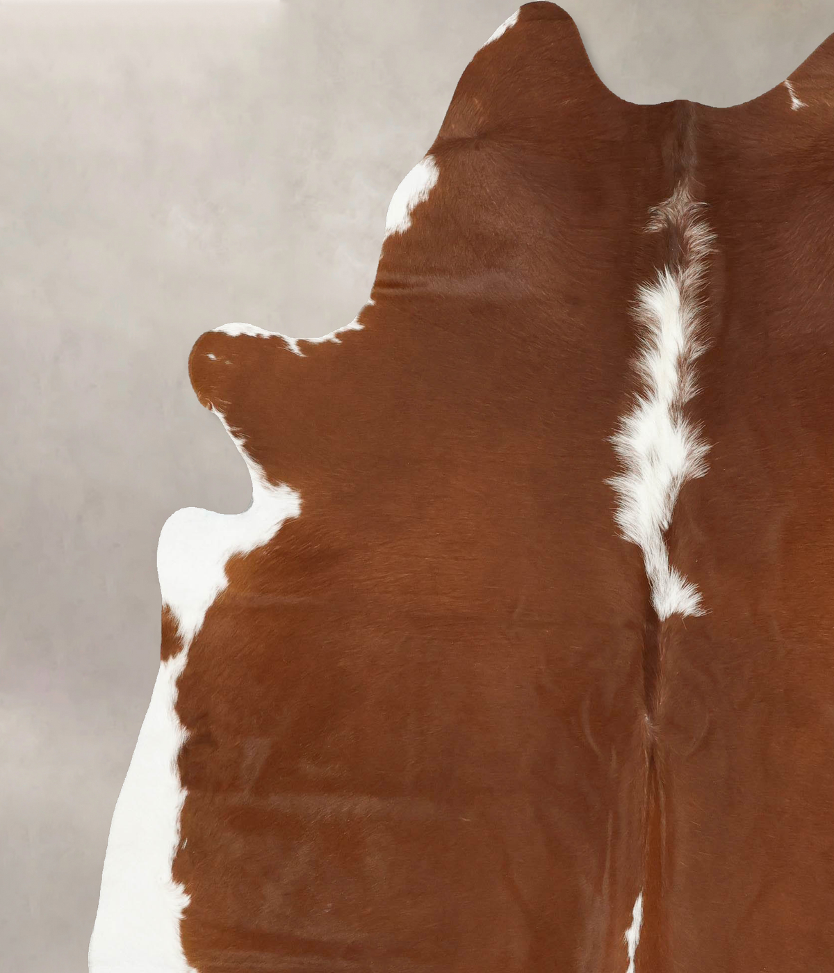 Hereford XX-Large Brazilian Cowhide Rug 7'11"H x 6'7"W #B14311 by Hudson Hides