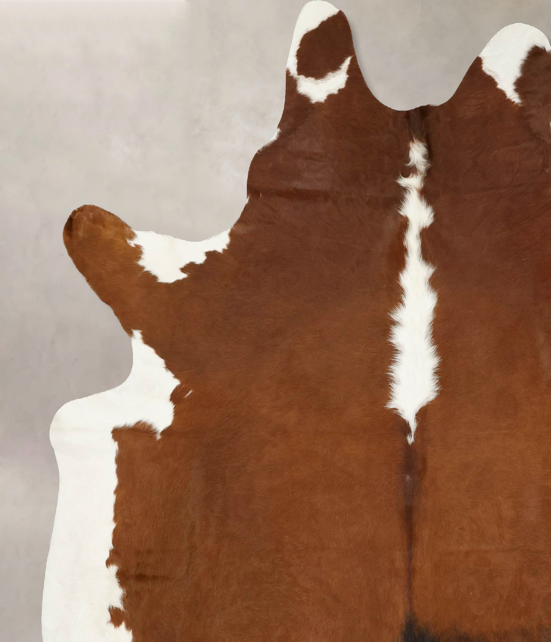 Hereford Cowhide Rug #B14316