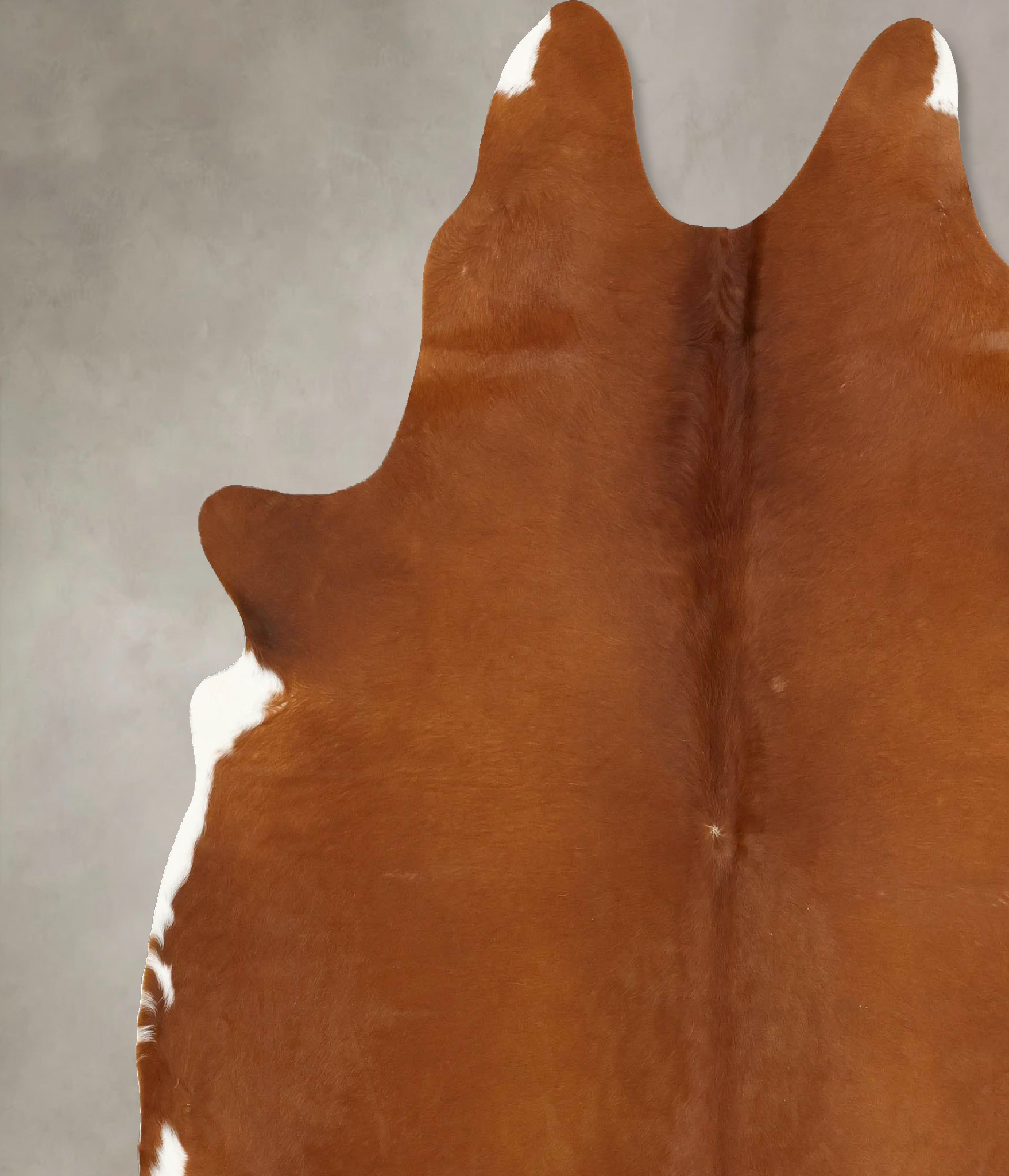 Solid Brown Cowhide Rug #B14322
