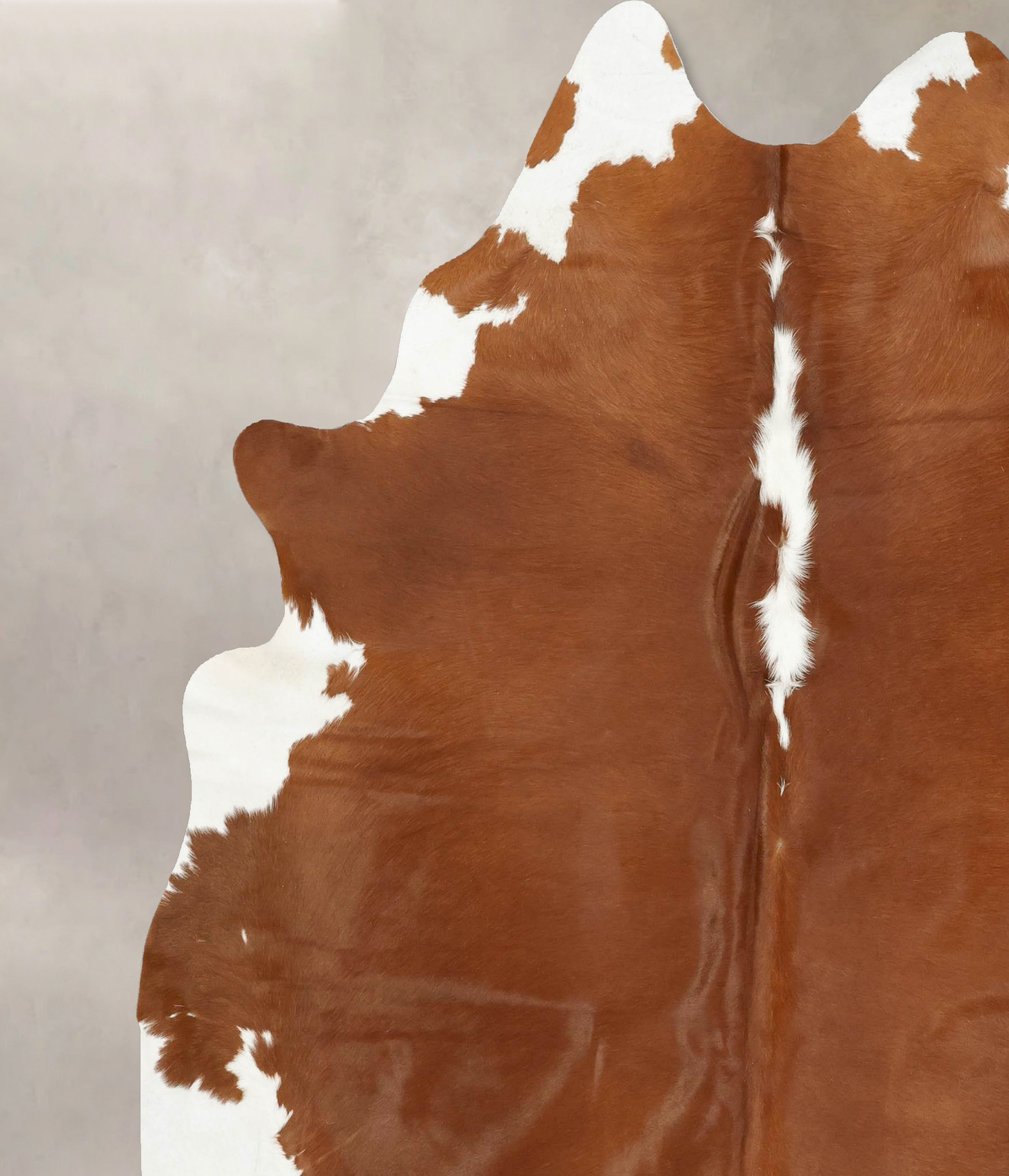 Hereford XX-Large Brazilian Cowhide Rug 8'2"H x 7'0"W #B14325 by Hudson Hides