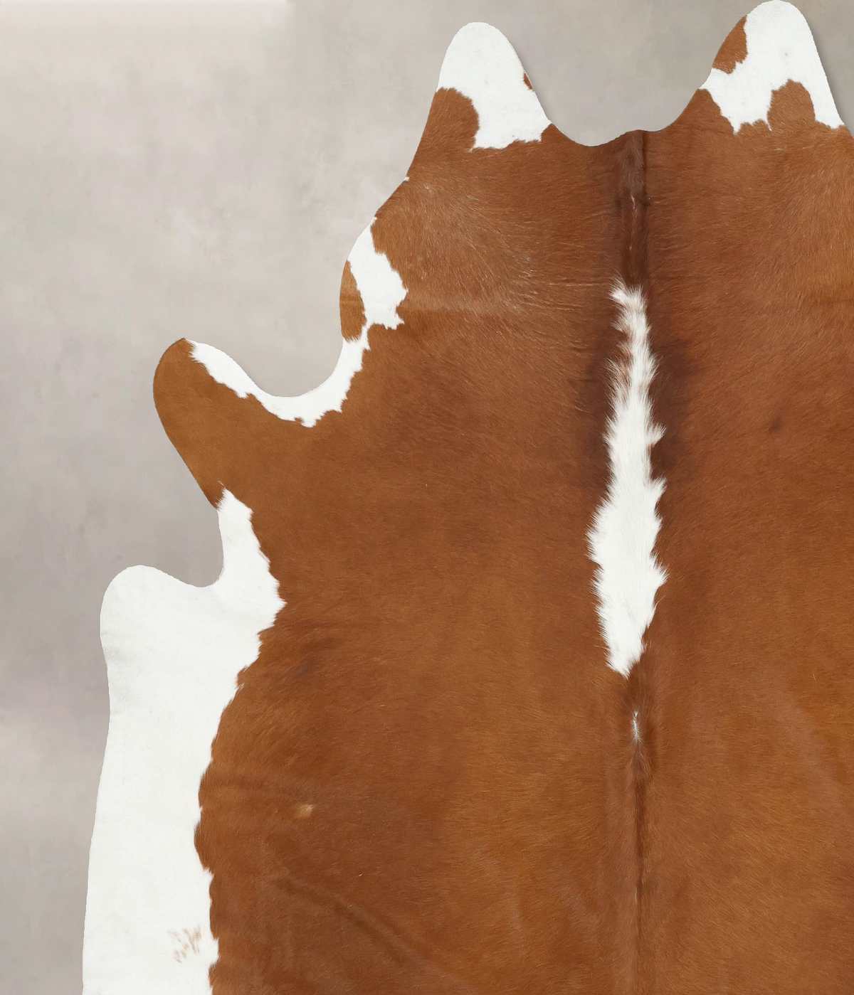 Hereford XX-Large Brazilian Cowhide Rug 7'10"H x 7'4"W #B14326 by Hudson Hides