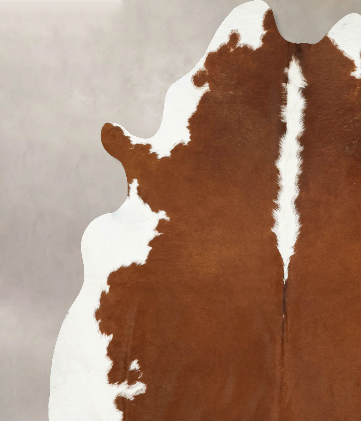 Hereford XX-Large Brazilian Cowhide Rug 8'6"H x 7'8"W #B14327 by Hudson Hides