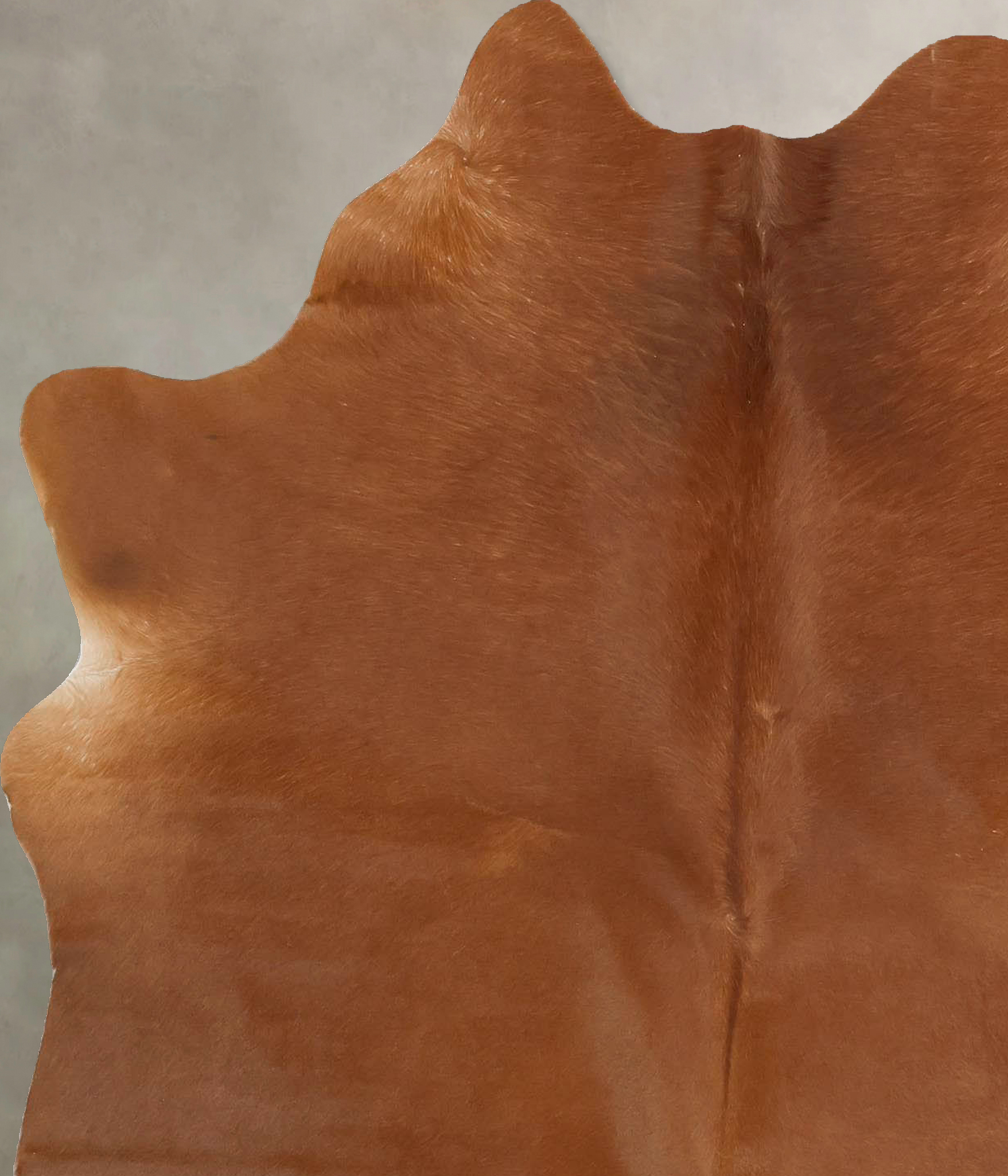 Solid Brown Cowhide Rug #B14330