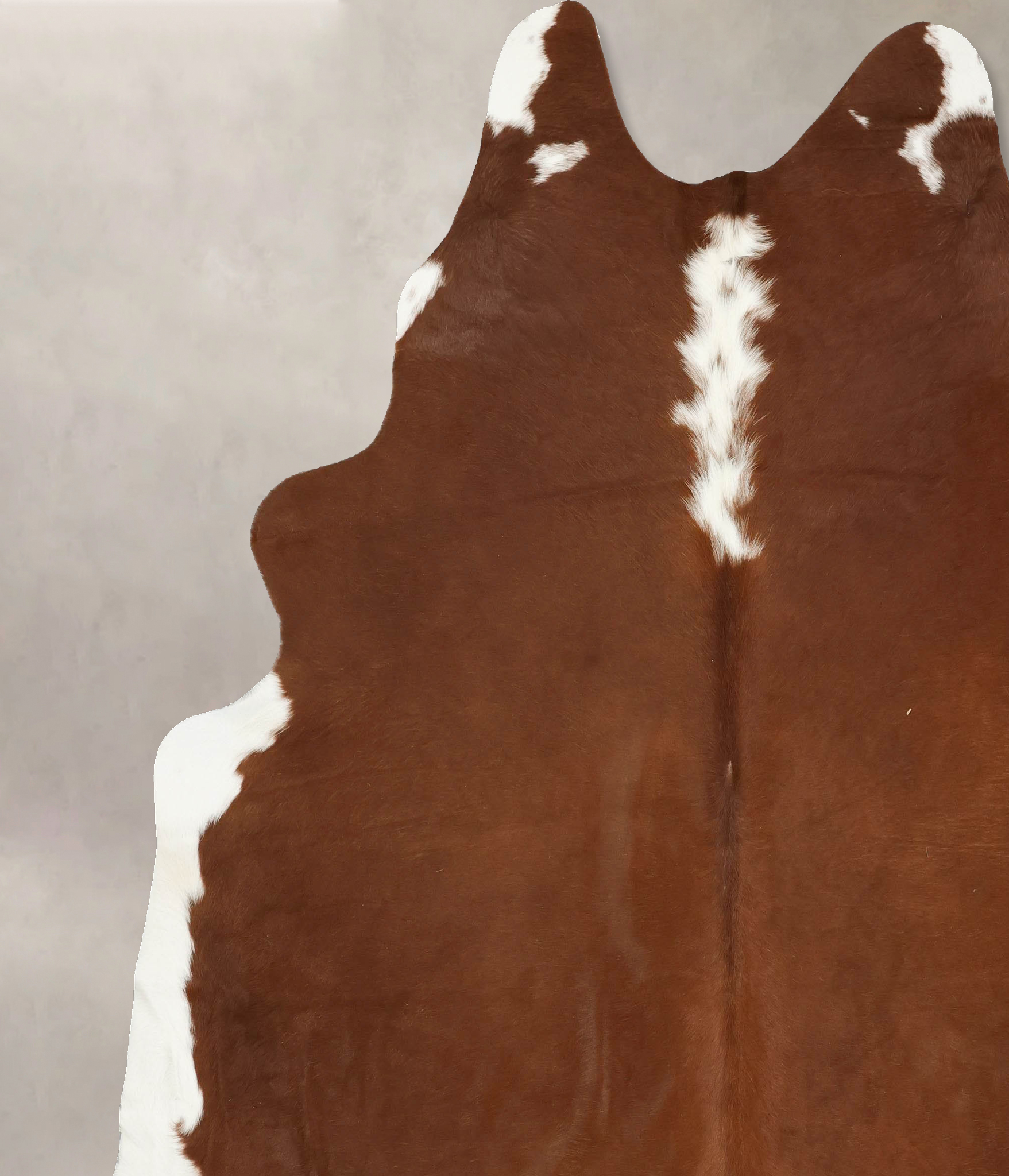 Hereford Cowhide Rug #B14337