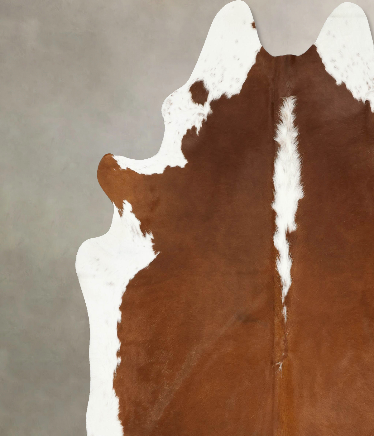 Hereford XX-Large Brazilian Cowhide Rug 8'9"H x 8'0"W #B14338 by Hudson Hides