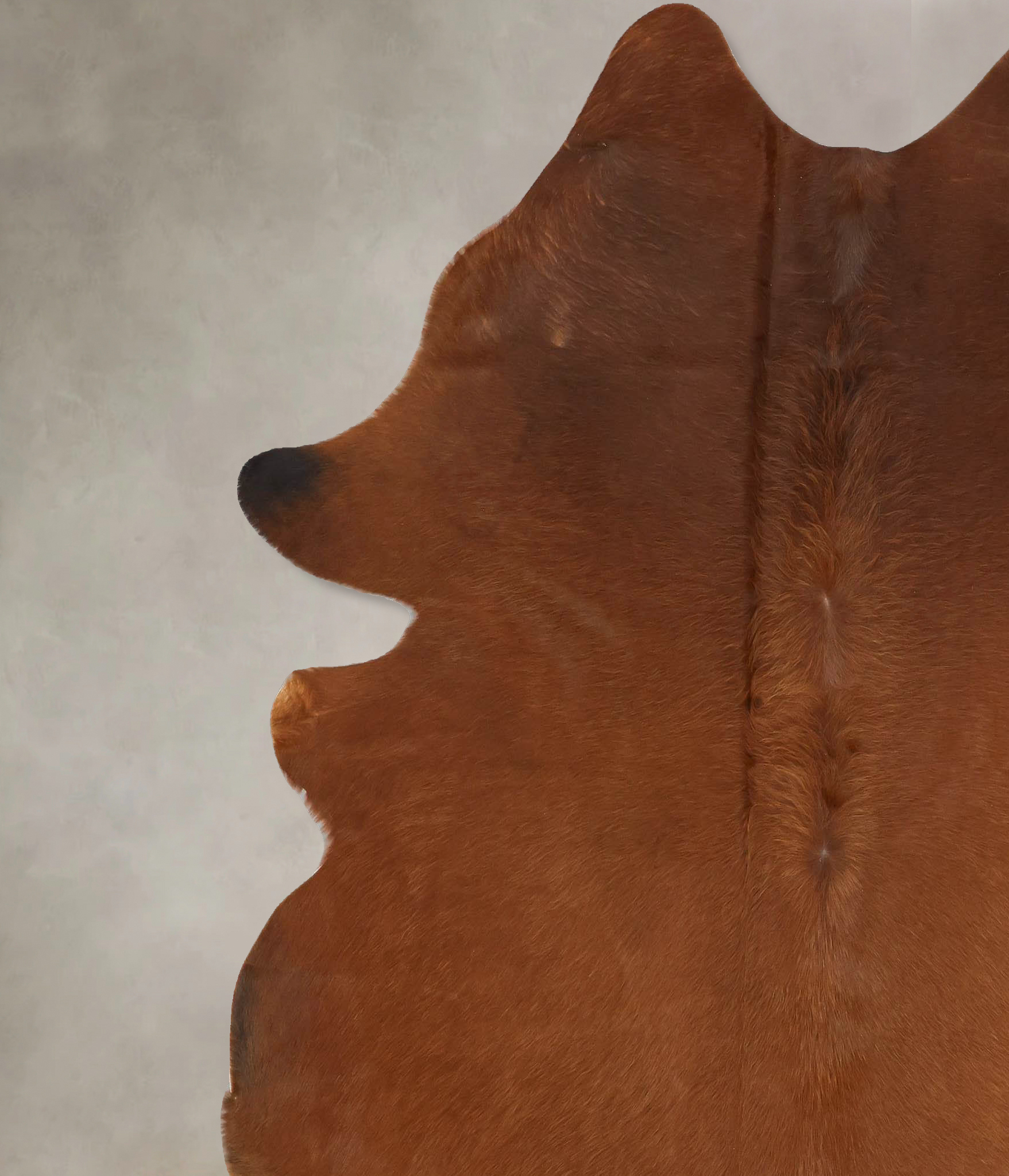 Solid Brown Cowhide Rug #B14343