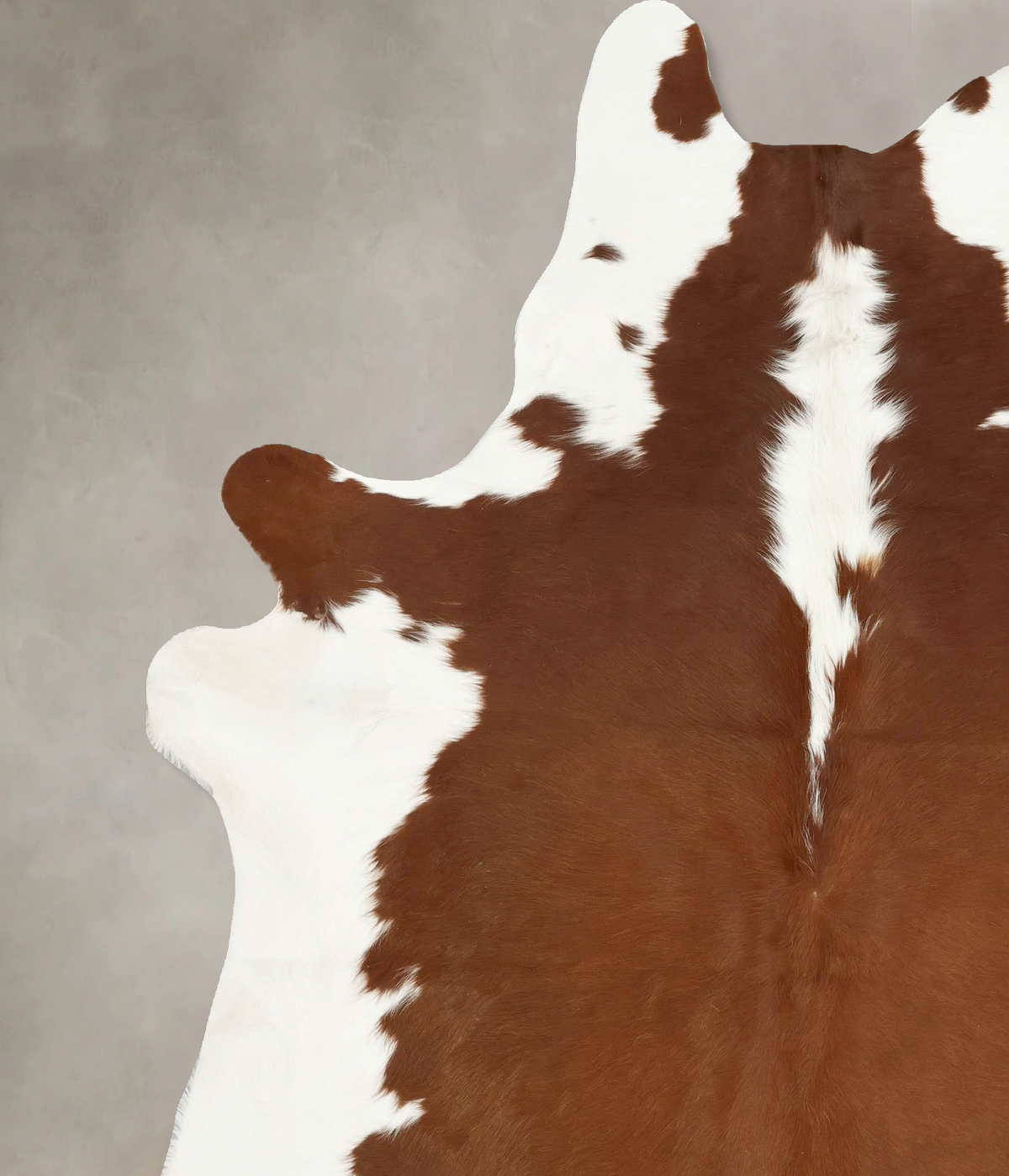 Hereford XX-Large Brazilian Cowhide Rug 8'3"H x 6'8"W #B14346 by Hudson Hides