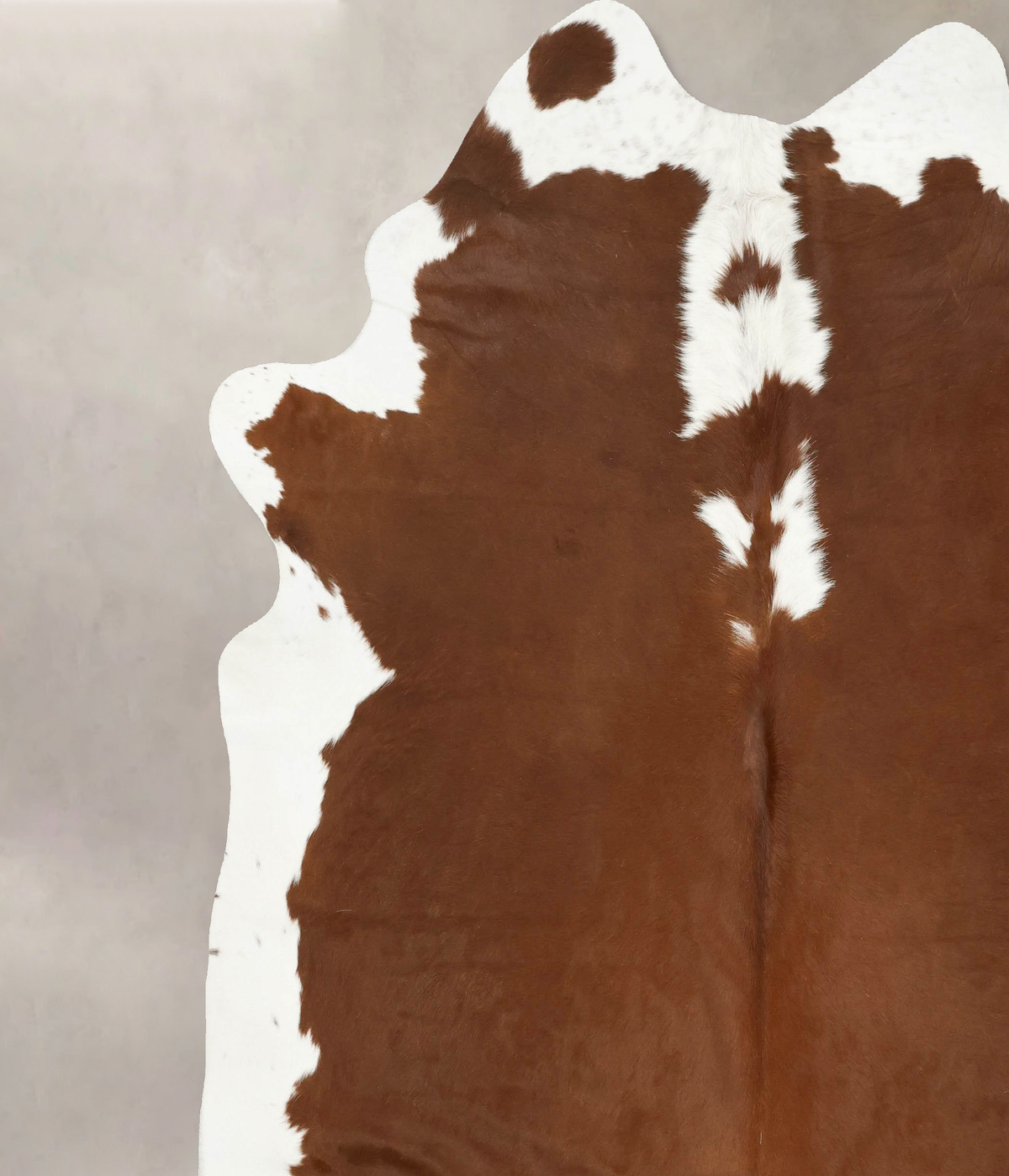 Hereford XX-Large Brazilian Cowhide Rug 8'9"H x 8'2"W #B14348 by Hudson Hides