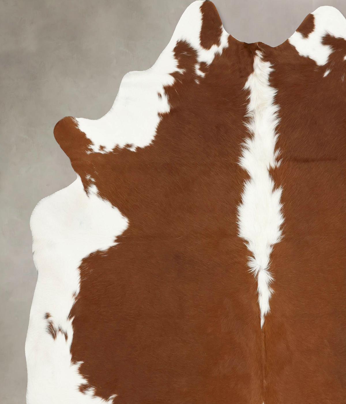Hereford XX-Large Brazilian Cowhide Rug 7'11"H x 7'2"W #B14349 by Hudson Hides