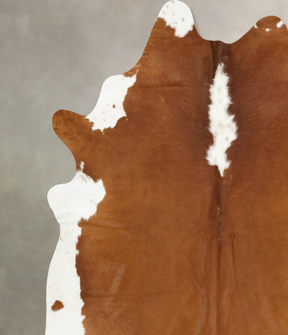 Hereford XX-Large Brazilian Cowhide Rug 8'2"H x 7'2"W #B14350 by Hudson Hides