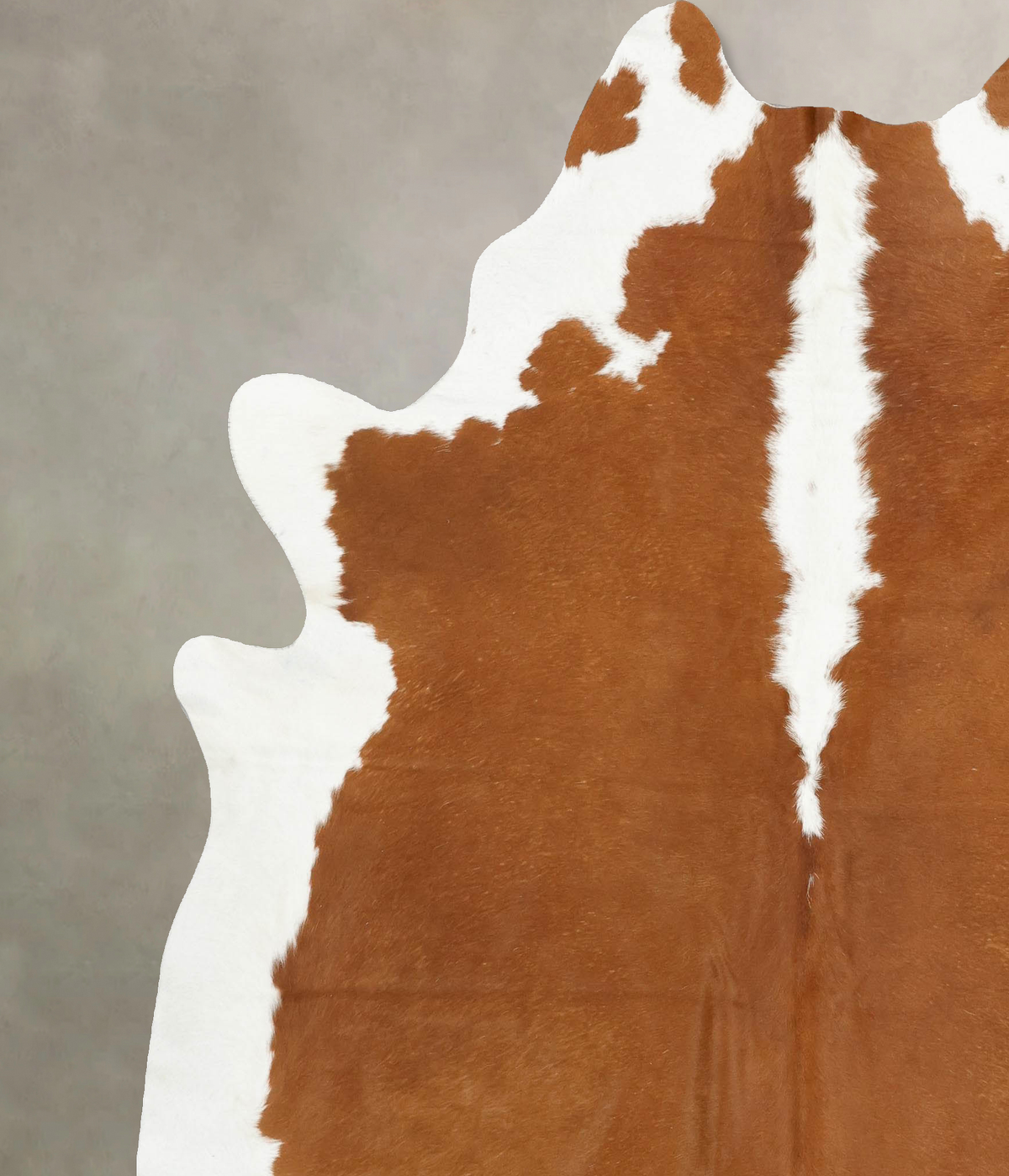 Hereford XX-Large Brazilian Cowhide Rug 7'10"H x 6'10"W #B14351 by Hudson Hides