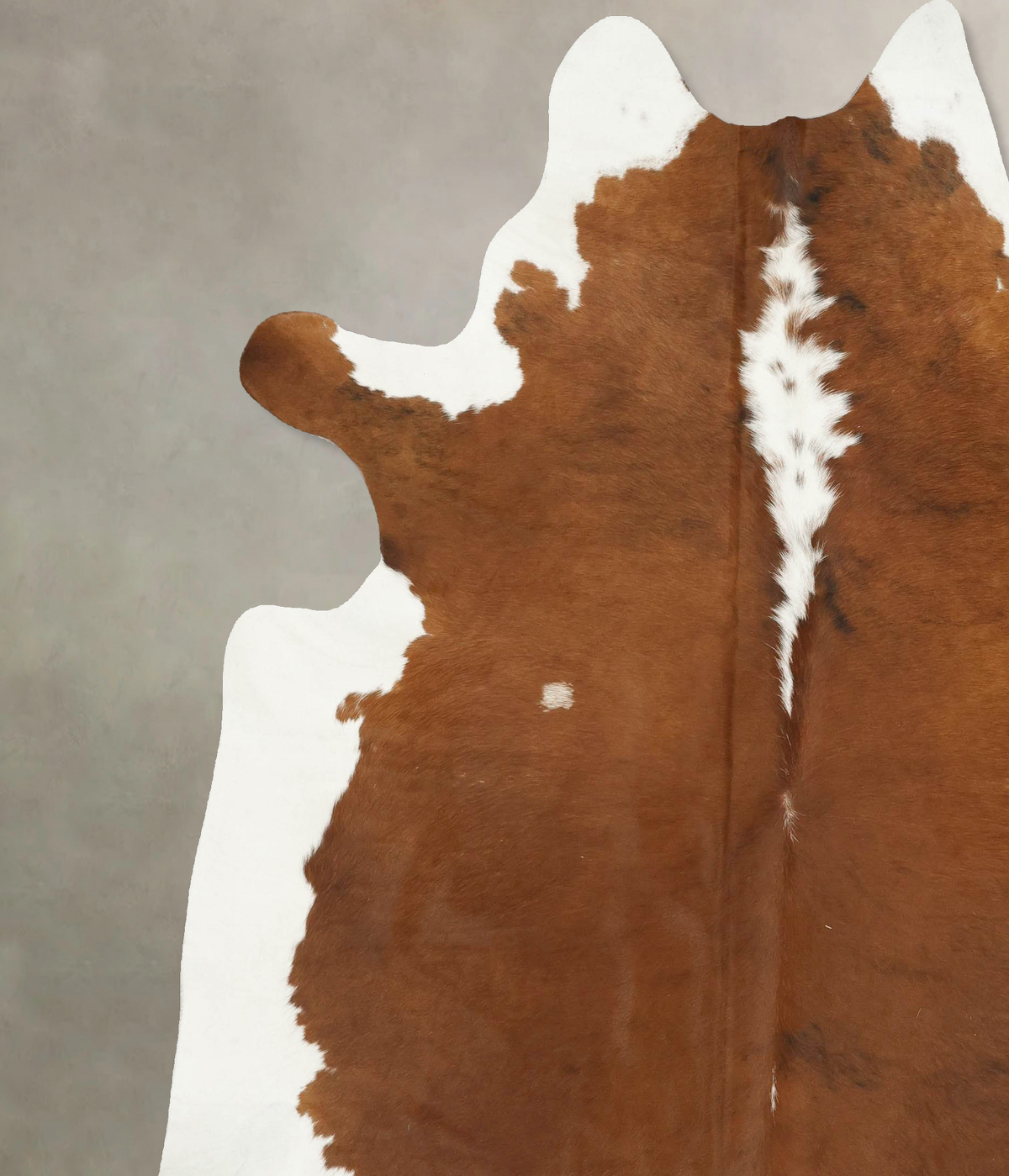 Hereford XX-Large Brazilian Cowhide Rug 8'6"H x 7'4"W #B14353 by Hudson Hides