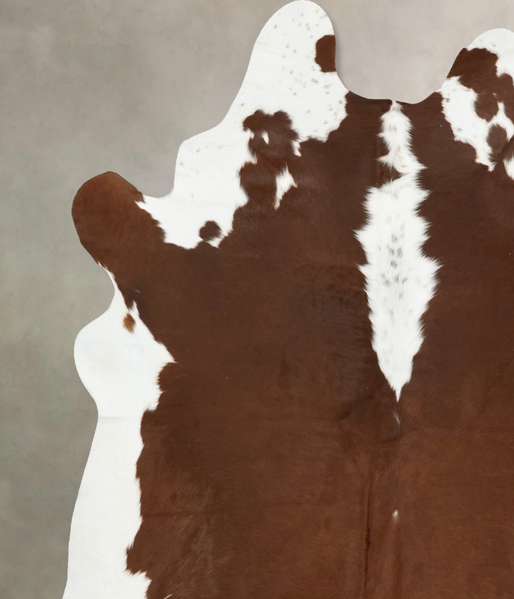 Hereford XX-Large Brazilian Cowhide Rug 8'6"H x 7'3"W #B14361 by Hudson Hides