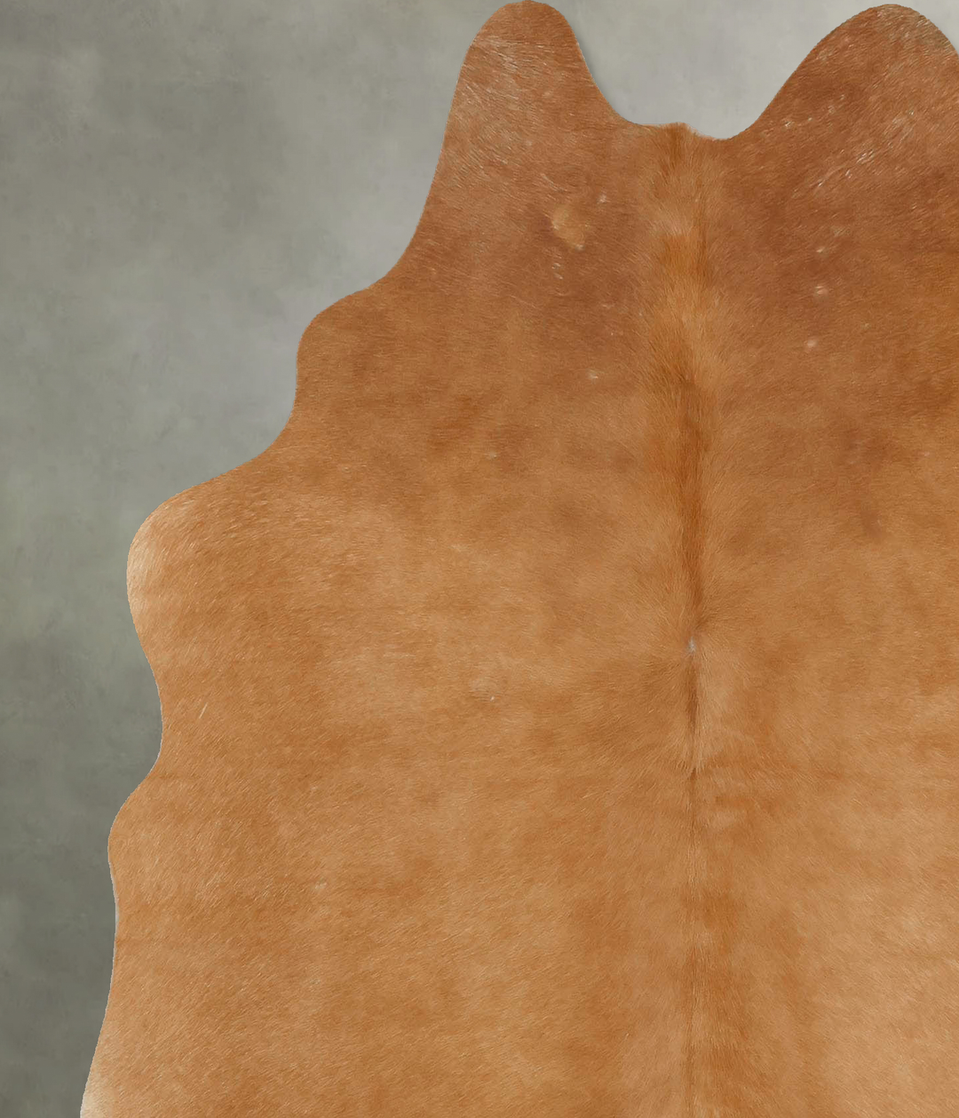 Beige Large Brazilian Cowhide Rug 6'8"H x 5'8"W #B14382 by Hudson Hide