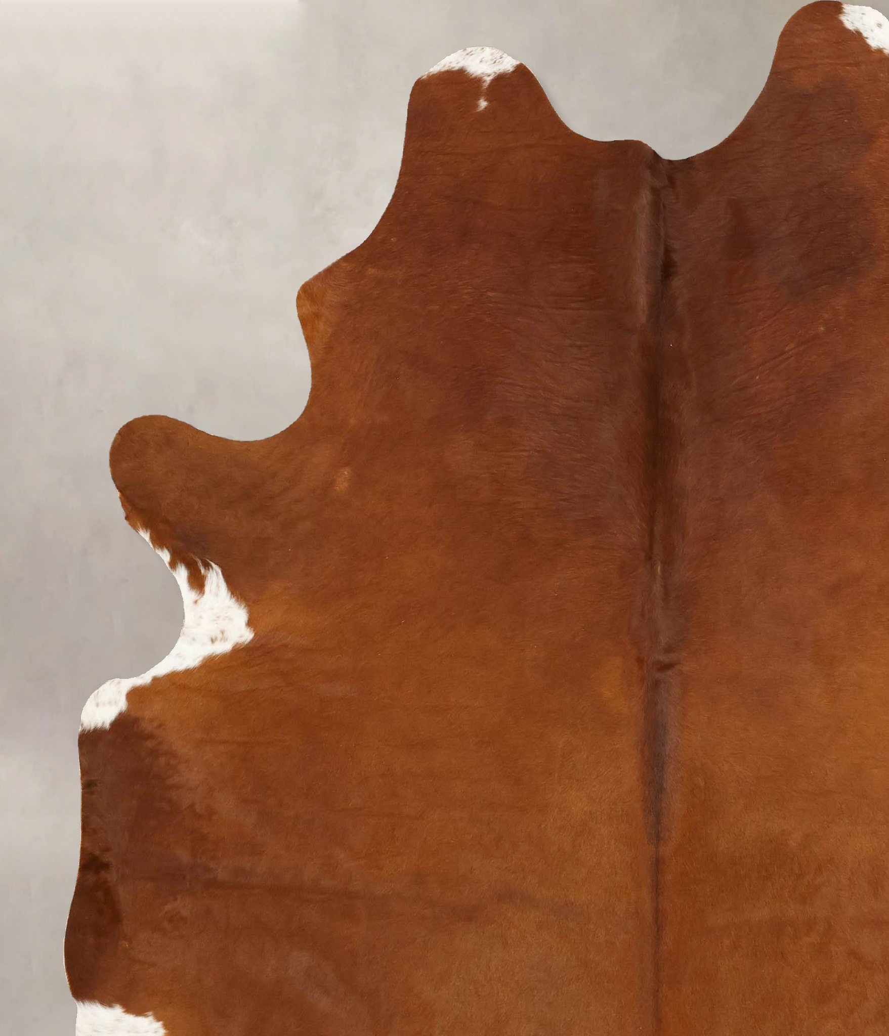 Solid Brown Cowhide Rug #B14392