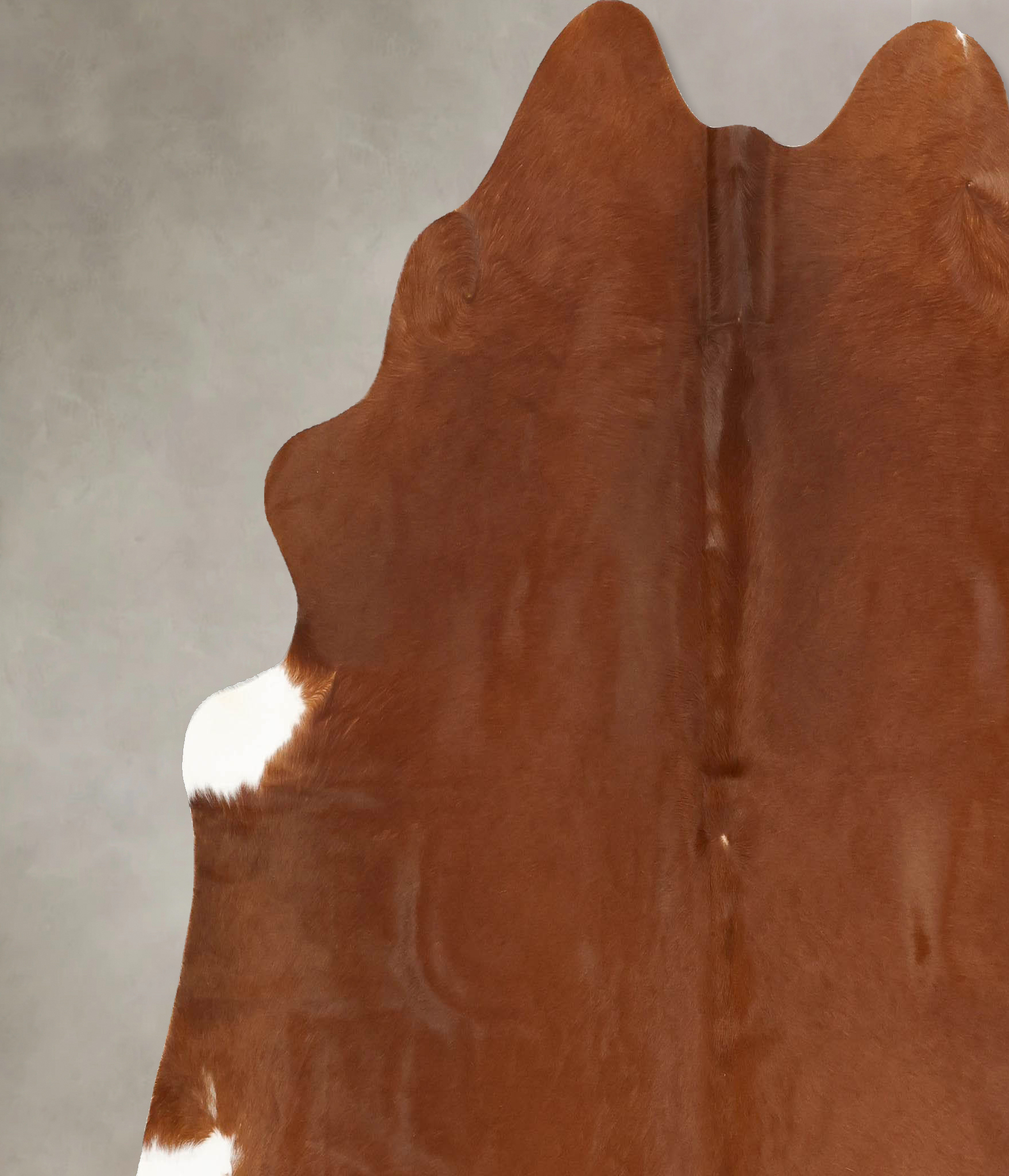 Solid Brown Cowhide Rug #B14402