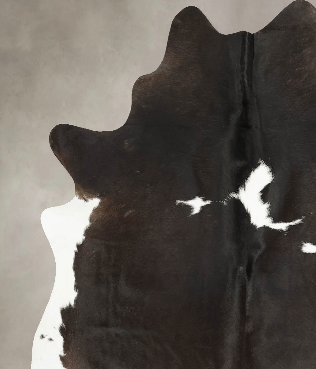 Chocolate and White X-Large Brazilian Cowhide Rug 7'4"H x 5'10"W #B144