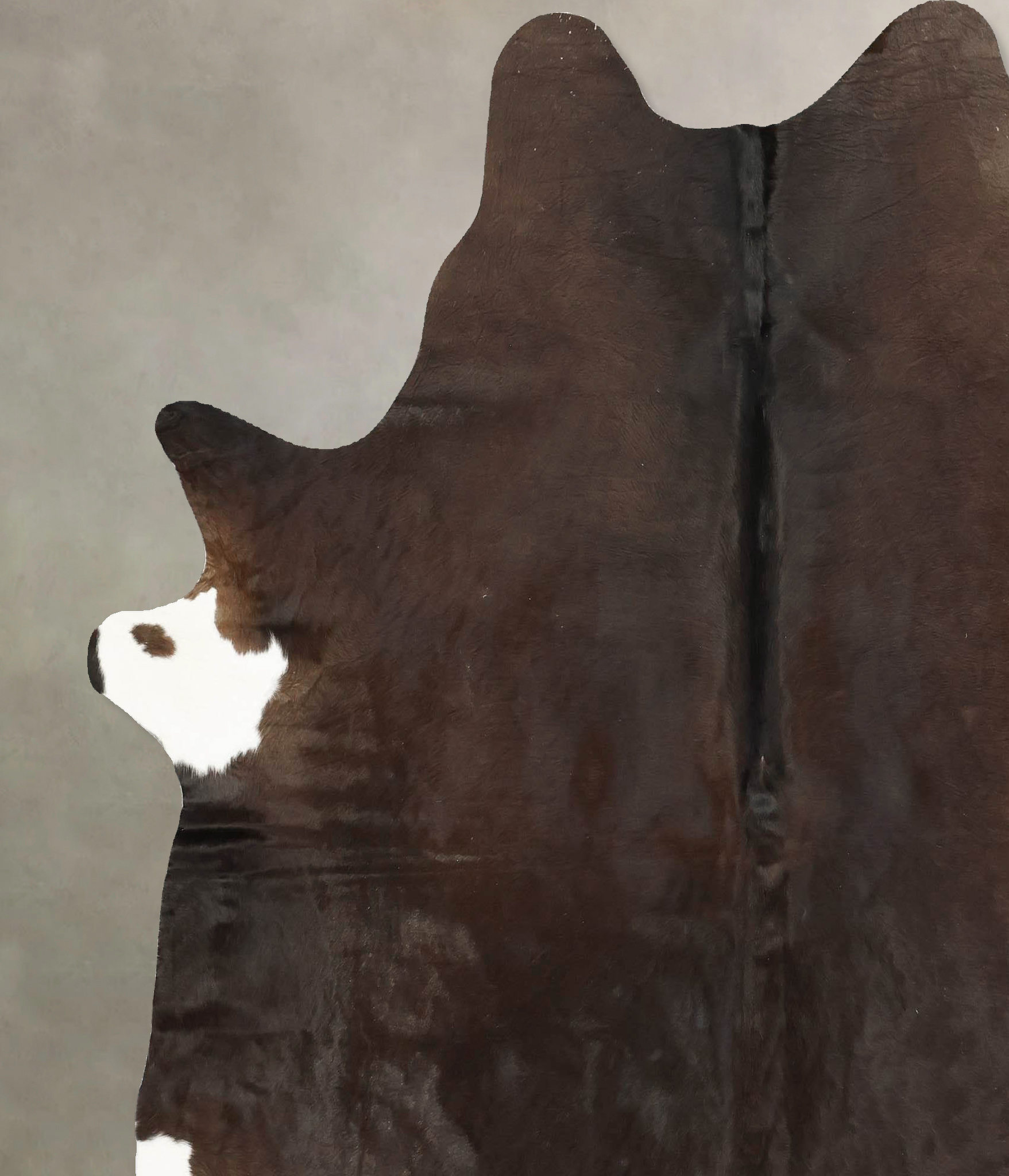 Chocolate Cowhide Rug #B14418