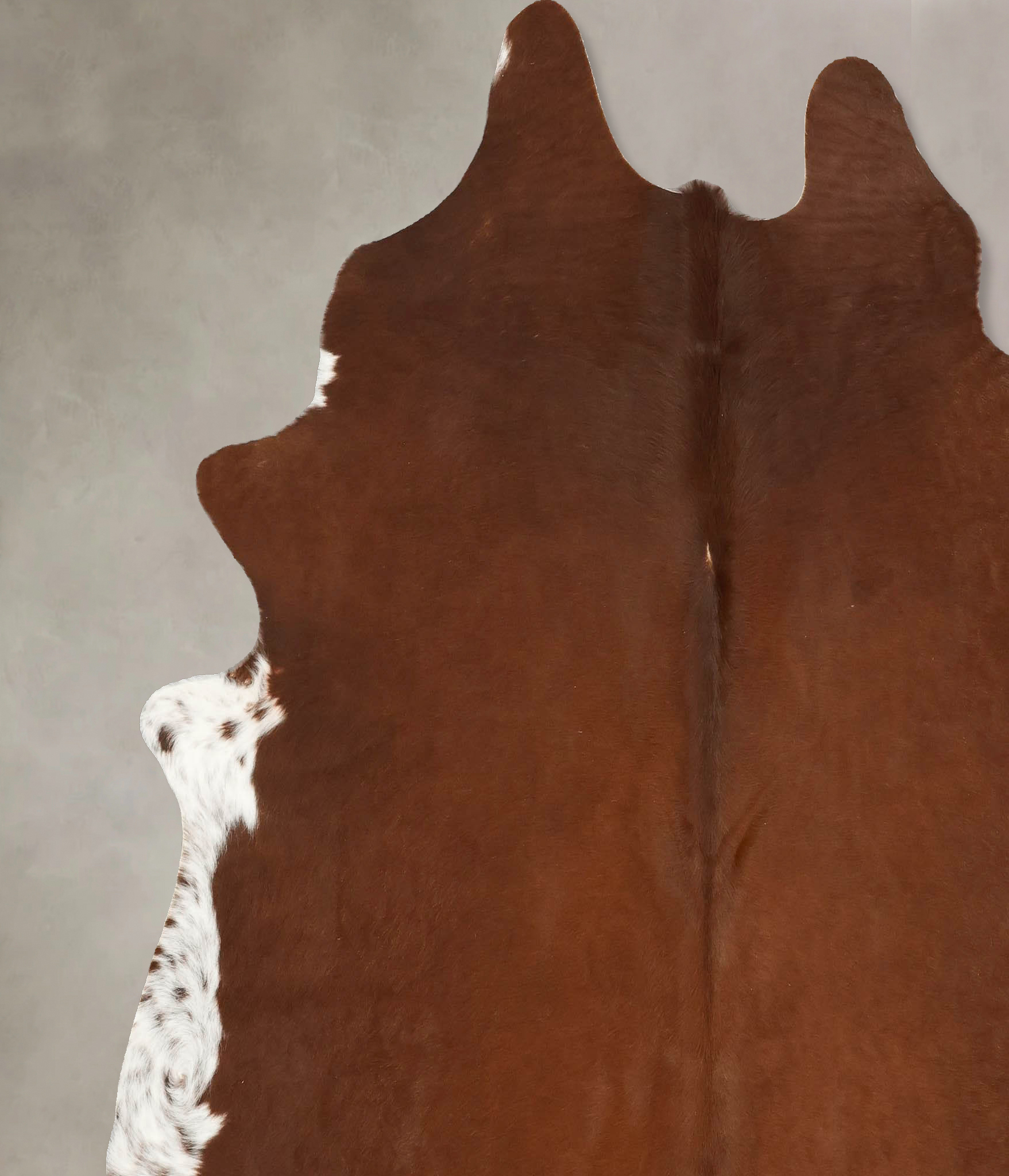 Brown and White Regular Cowhide Rug #B14470