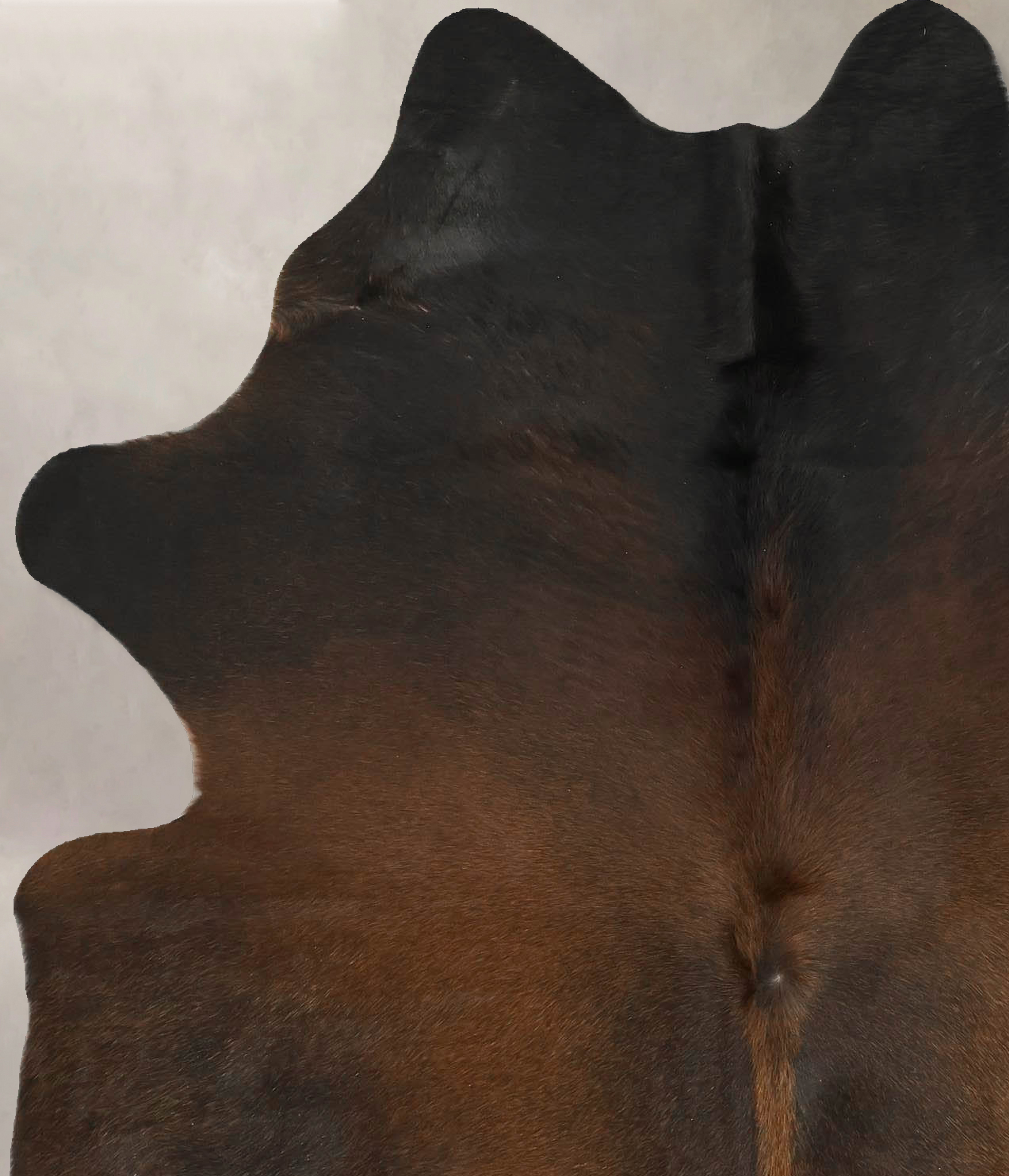 Chocolate Cowhide Rug #B14483