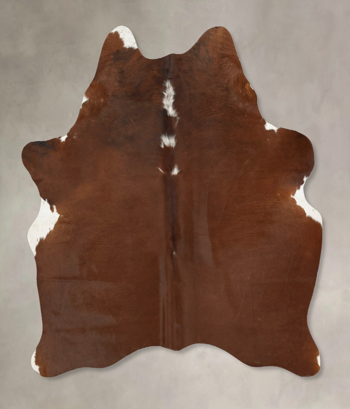 Brown and White Regular Large Brazilian Cowhide Rug 5'10"H x 5'6"W #B14494 by Hudson Hides
