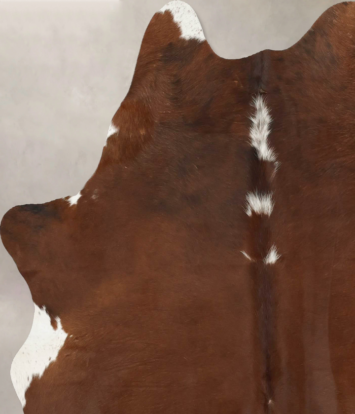 Brown and White Regular Large Brazilian Cowhide Rug 5'10"H x 5'6"W #B14494 by Hudson Hides