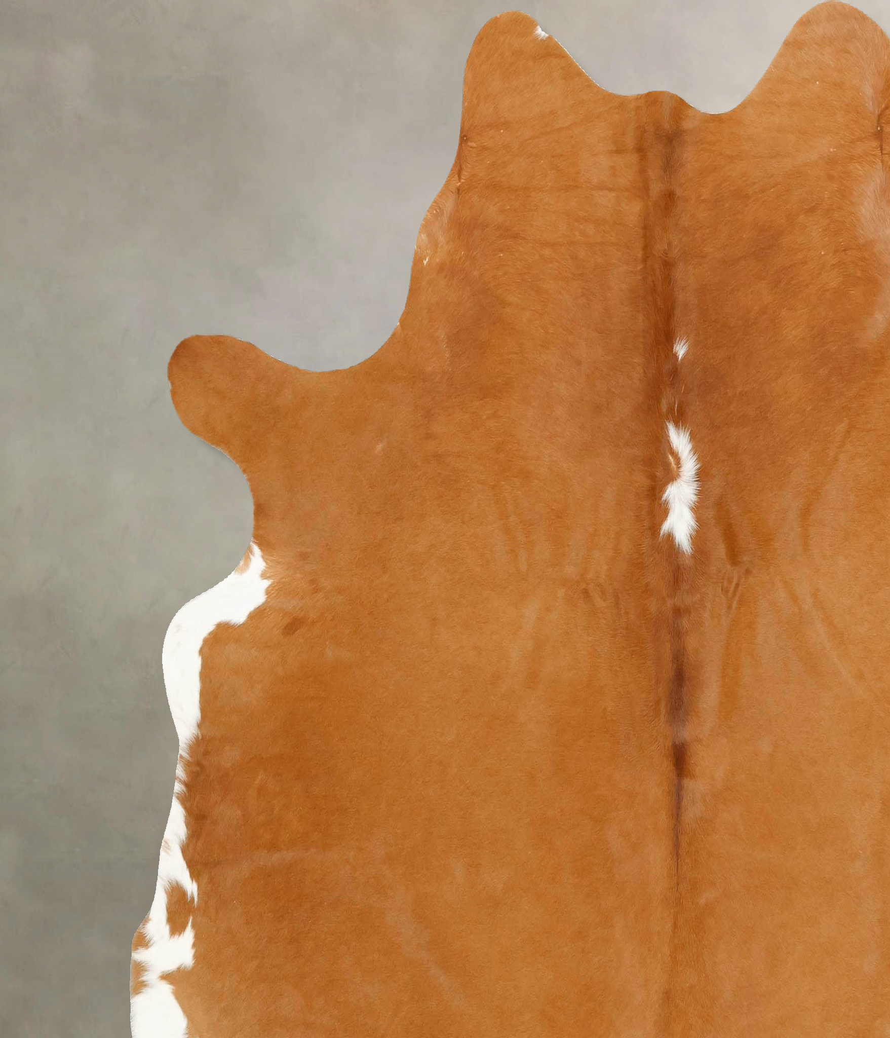 Brown and White  Cowhide Rug #B14515