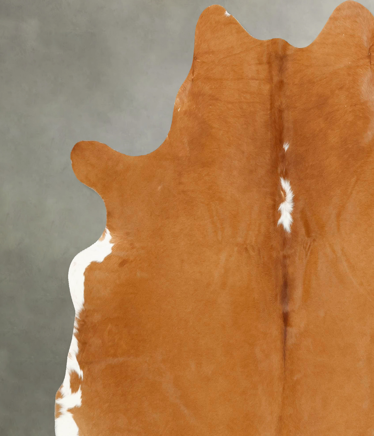 Brown and White  X-Large Brazilian Cowhide Rug 6'11"H x 6'7"W #B14515 by Hudson Hides