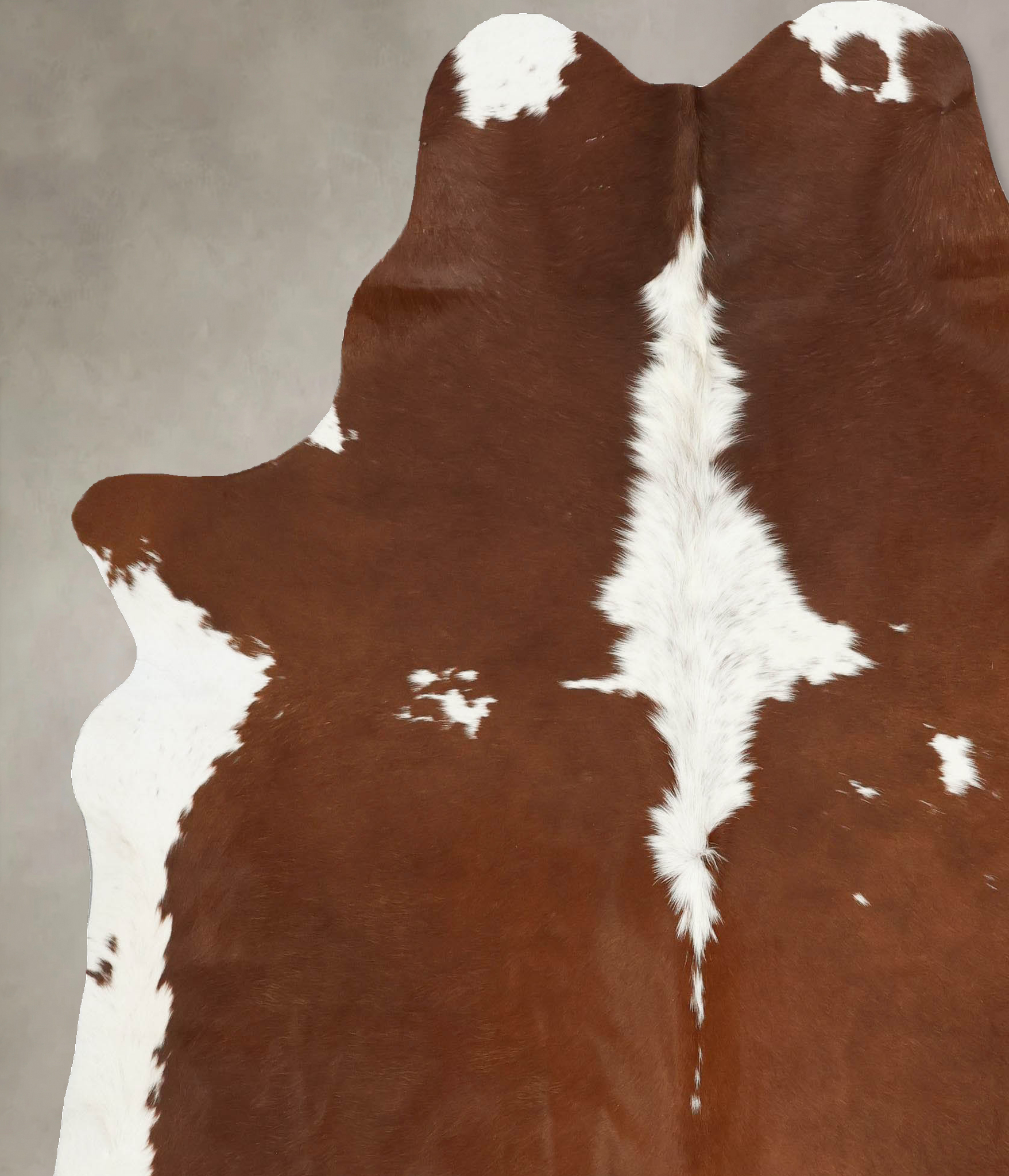 Brown and White Cowhide Rug #B14530