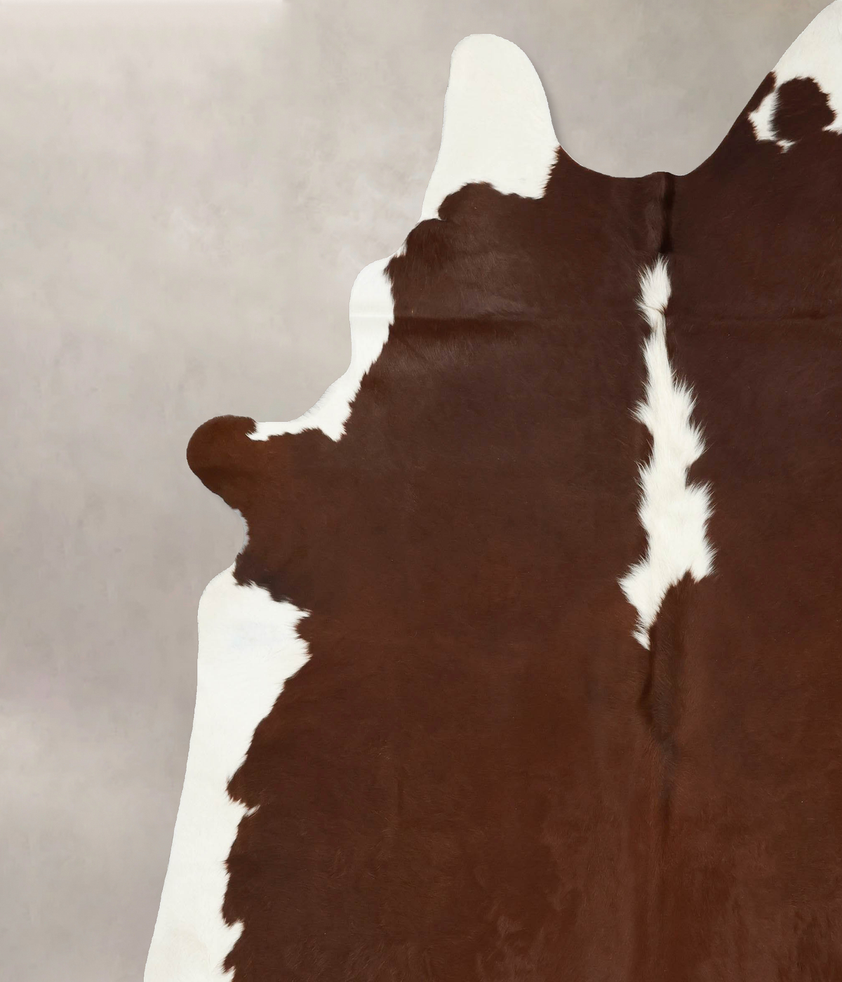 Hereford XX-Large Brazilian Cowhide Rug 8'9"H x 7'11"W #B14533 by Hudson Hides