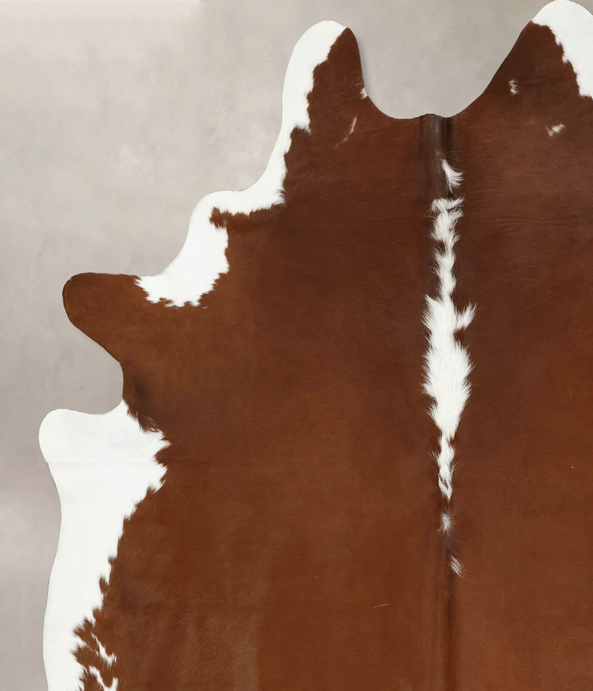 Hereford XX-Large Brazilian Cowhide Rug 8'8"H x 6'11"W #B14534 by Hudson Hides
