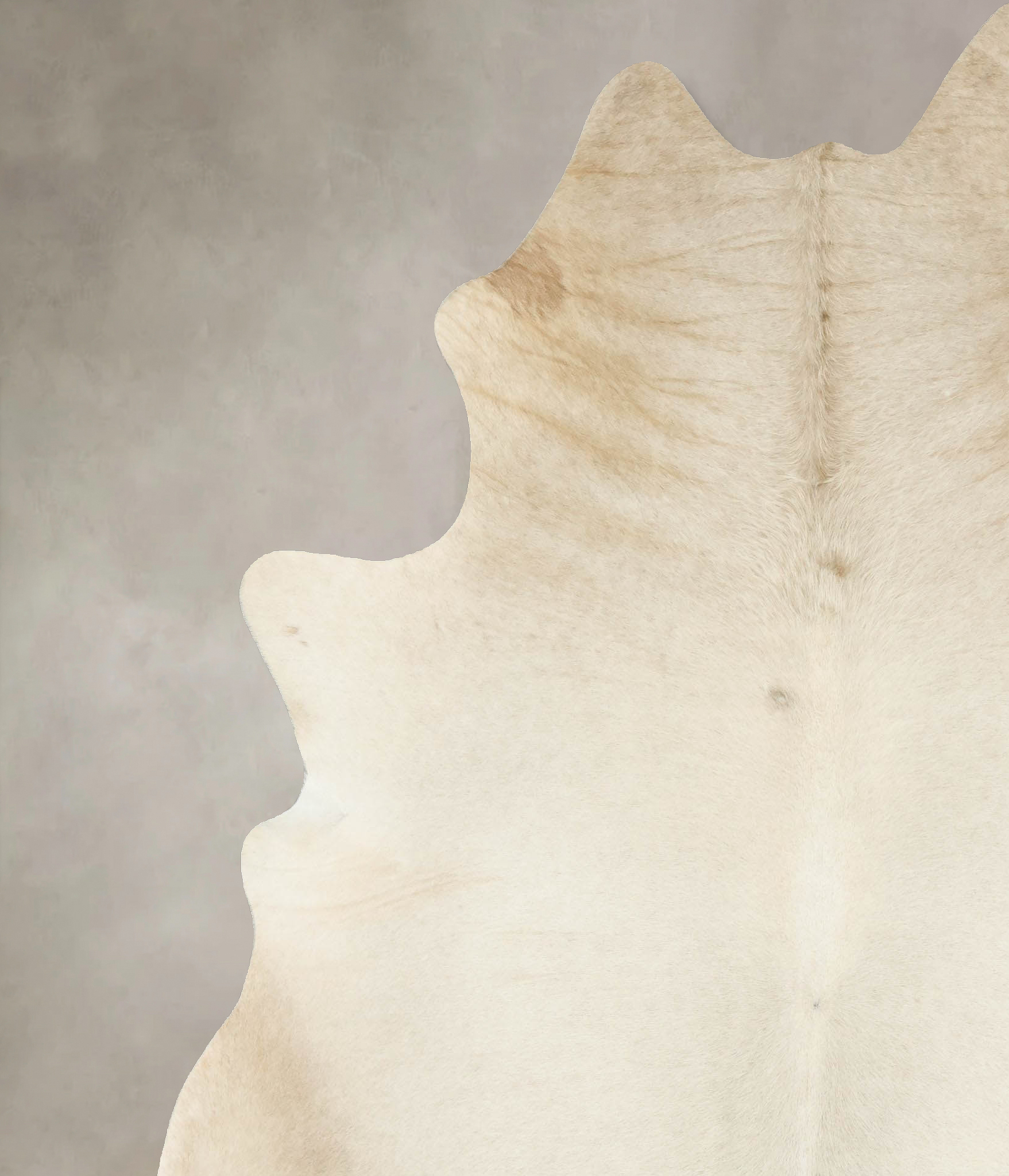 Champagne Cowhide Rug #B14538