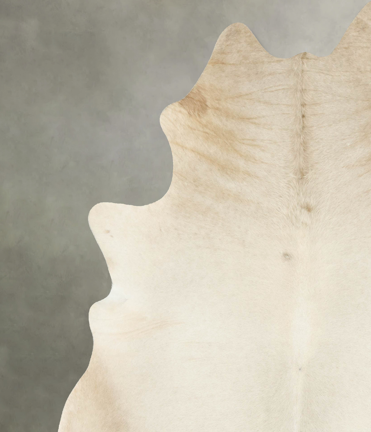 Champagne Cowhide Rug #B14538