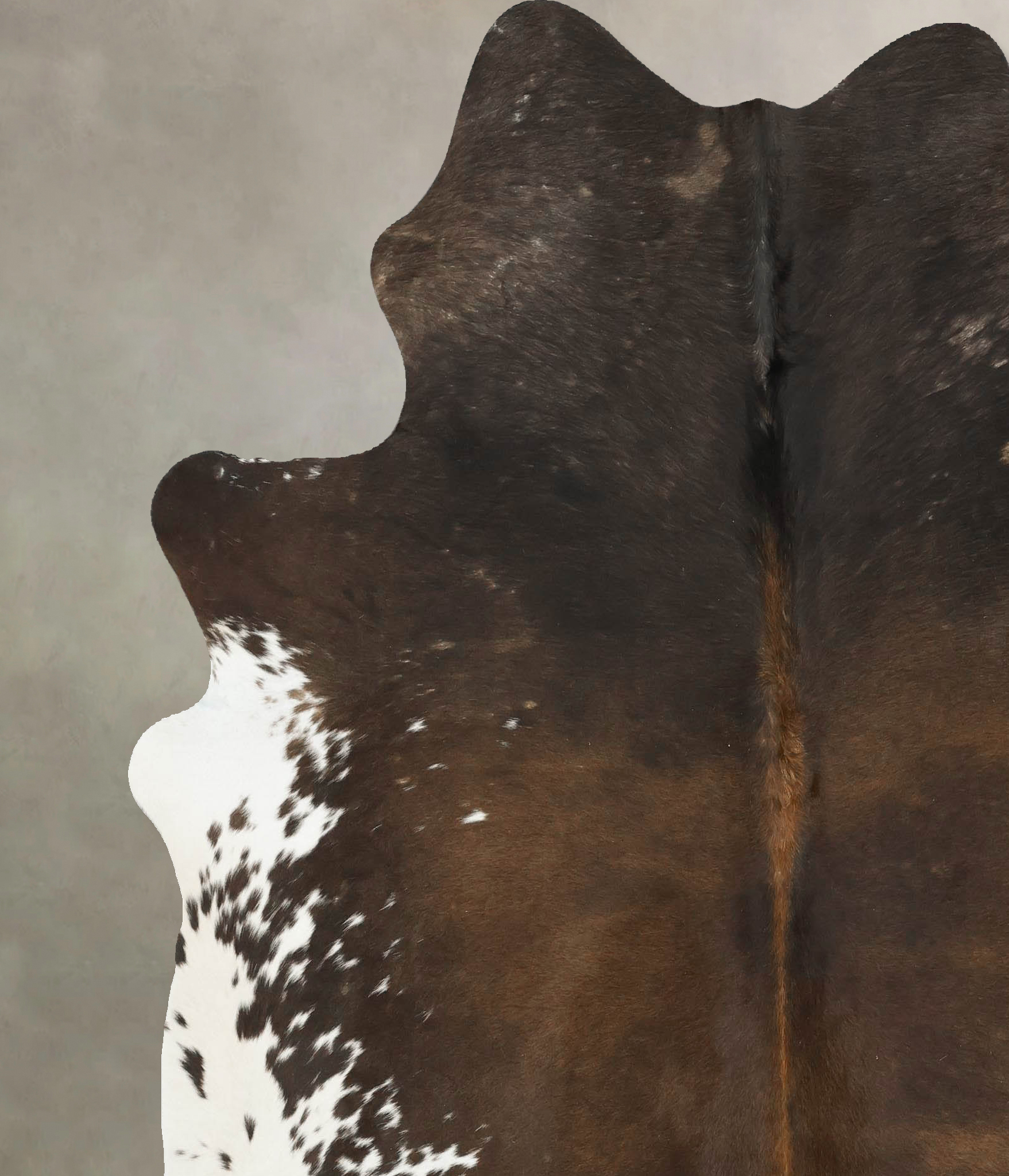 Chocolate and White Cowhide Rug #B14539