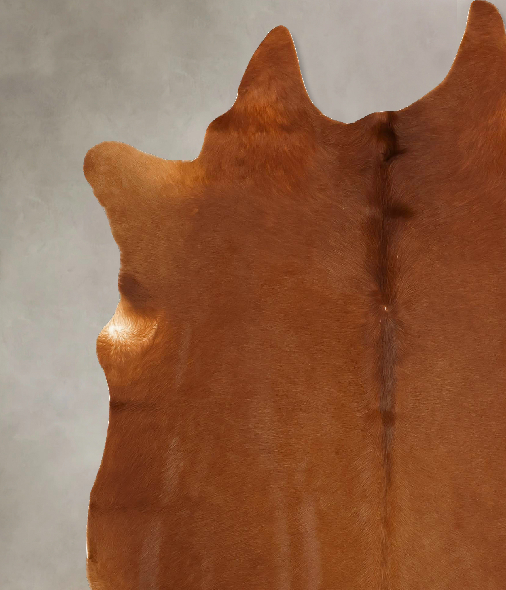 Solid Brown Cowhide Rug #B14541