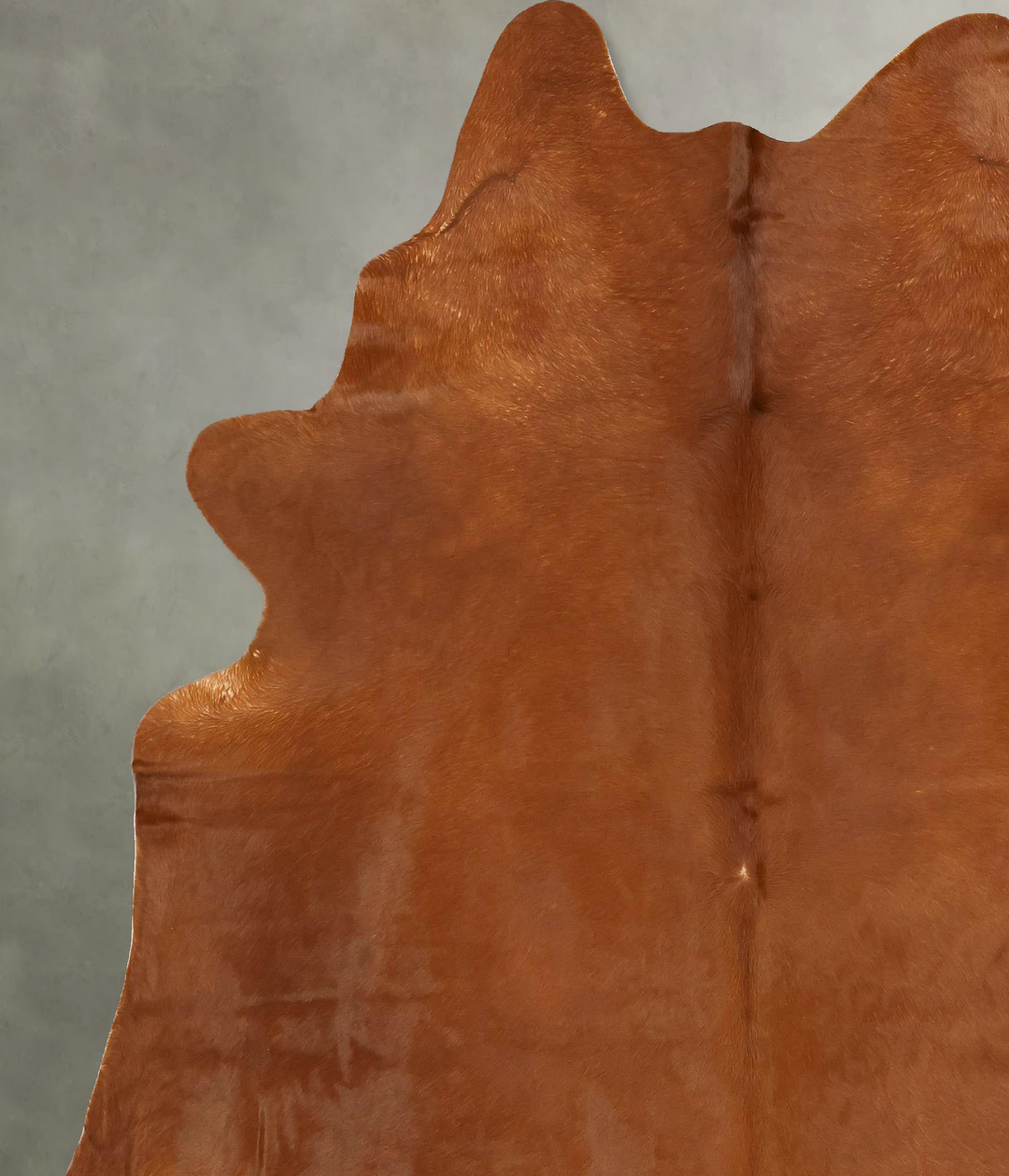 Solid Brown XX-Large Brazilian Cowhide Rug 8'0"H x 6'9"W #B14546 by Hu
