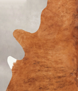 Medium Brindle X-Large Brazilian Cowhide Rug 7'3"H x 5'11"W #B1455 by Hudson Hides