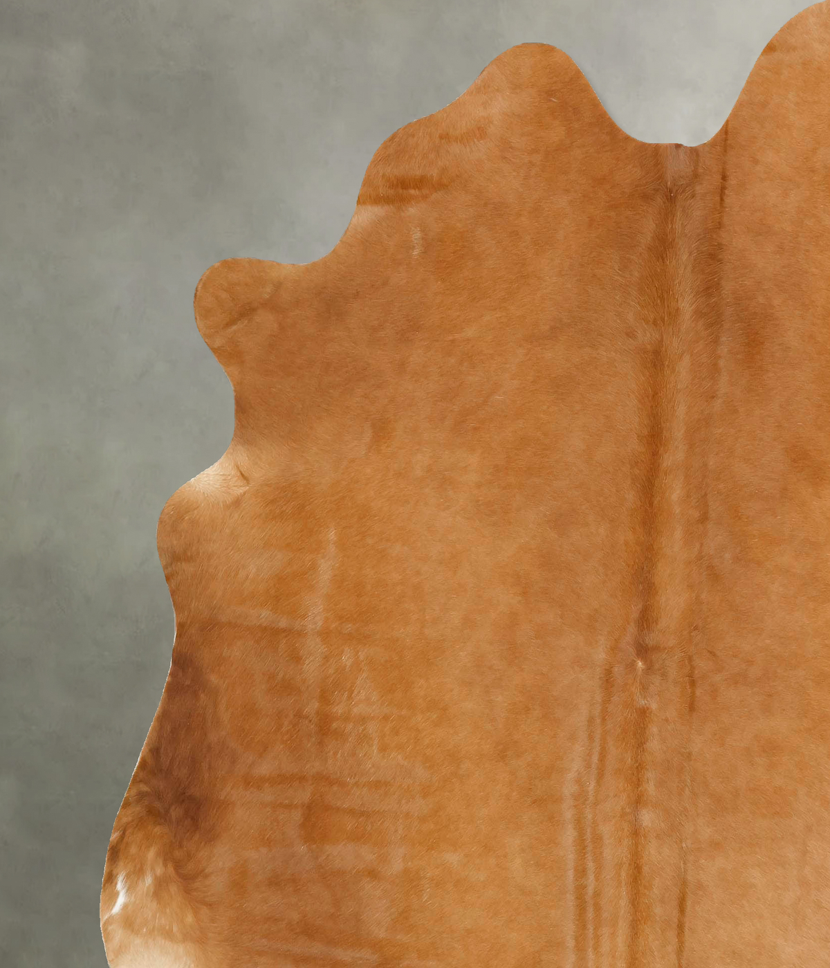 Beige X-Large Brazilian Cowhide Rug 7'4"H x 6'6"W #B14576 by Hudson Hides