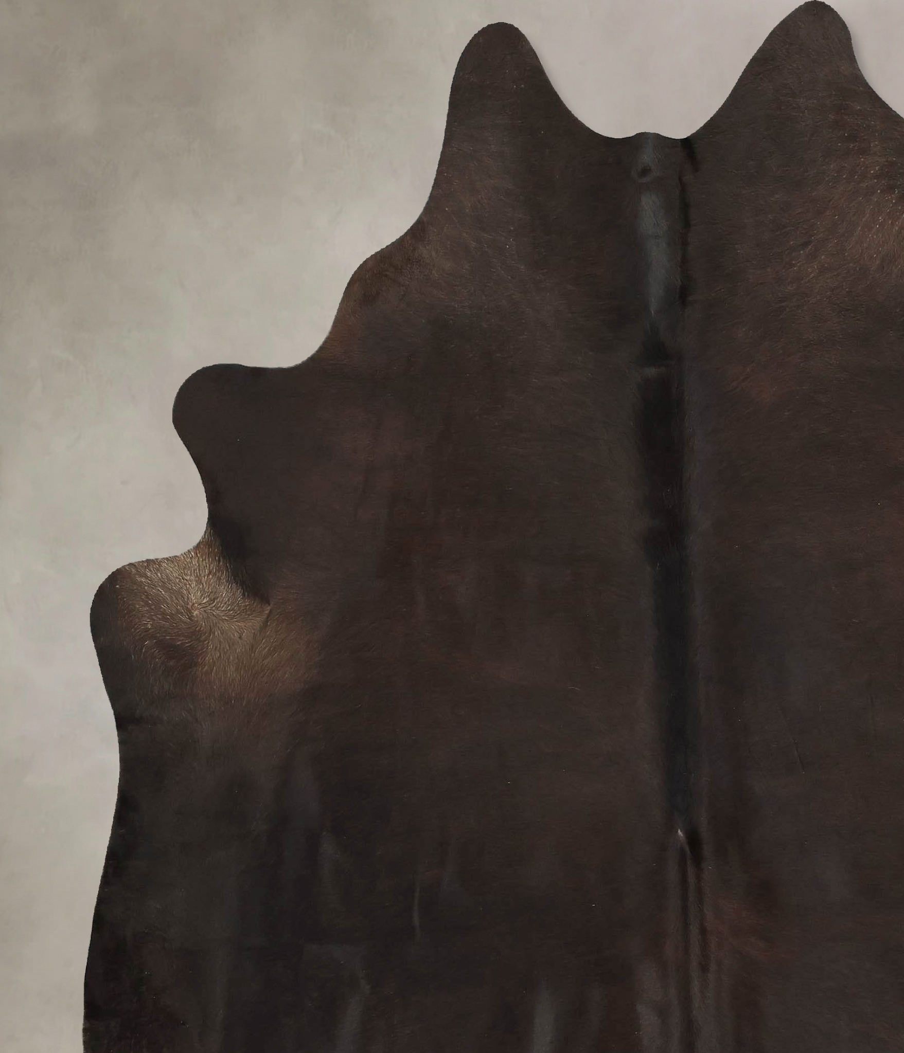 Chocolate Cowhide Rug #B14580