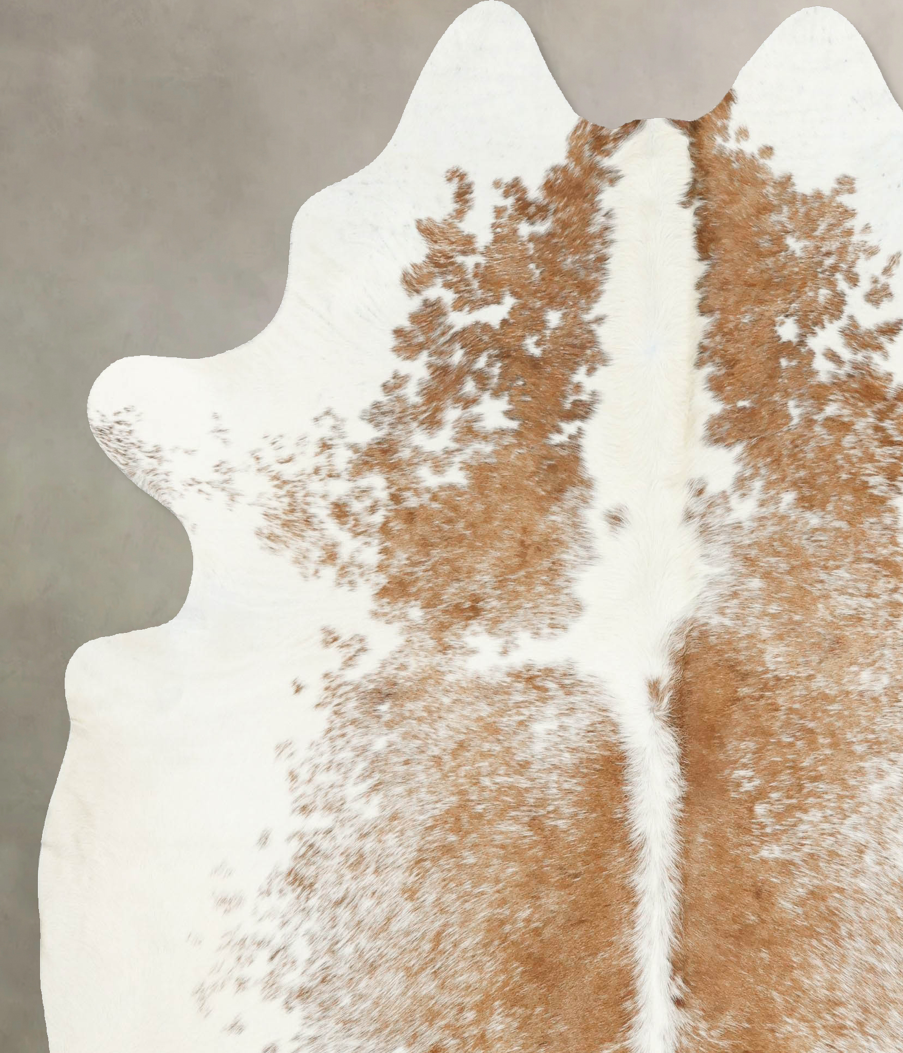 Brown and White Cowhide Rug #B14656