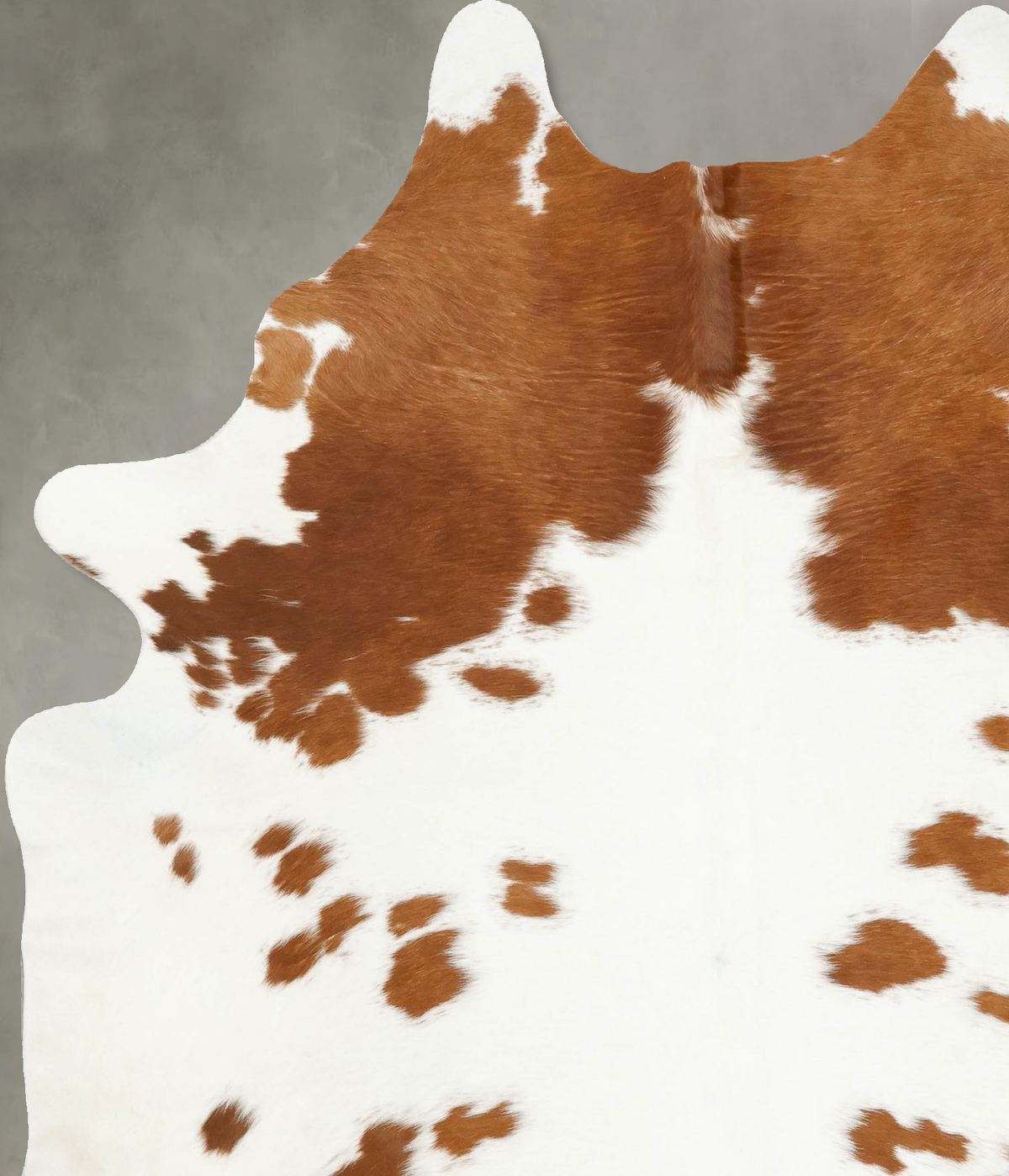 Brown and White X-Large Brazilian Cowhide Rug 7'7"H x 6'0"W #B14658 by Hudson Hides