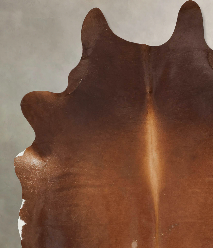 Solid Brown XX-Large Brazilian Cowhide Rug 8'7"H x 6'10"W #B14695 by Hudson Hides