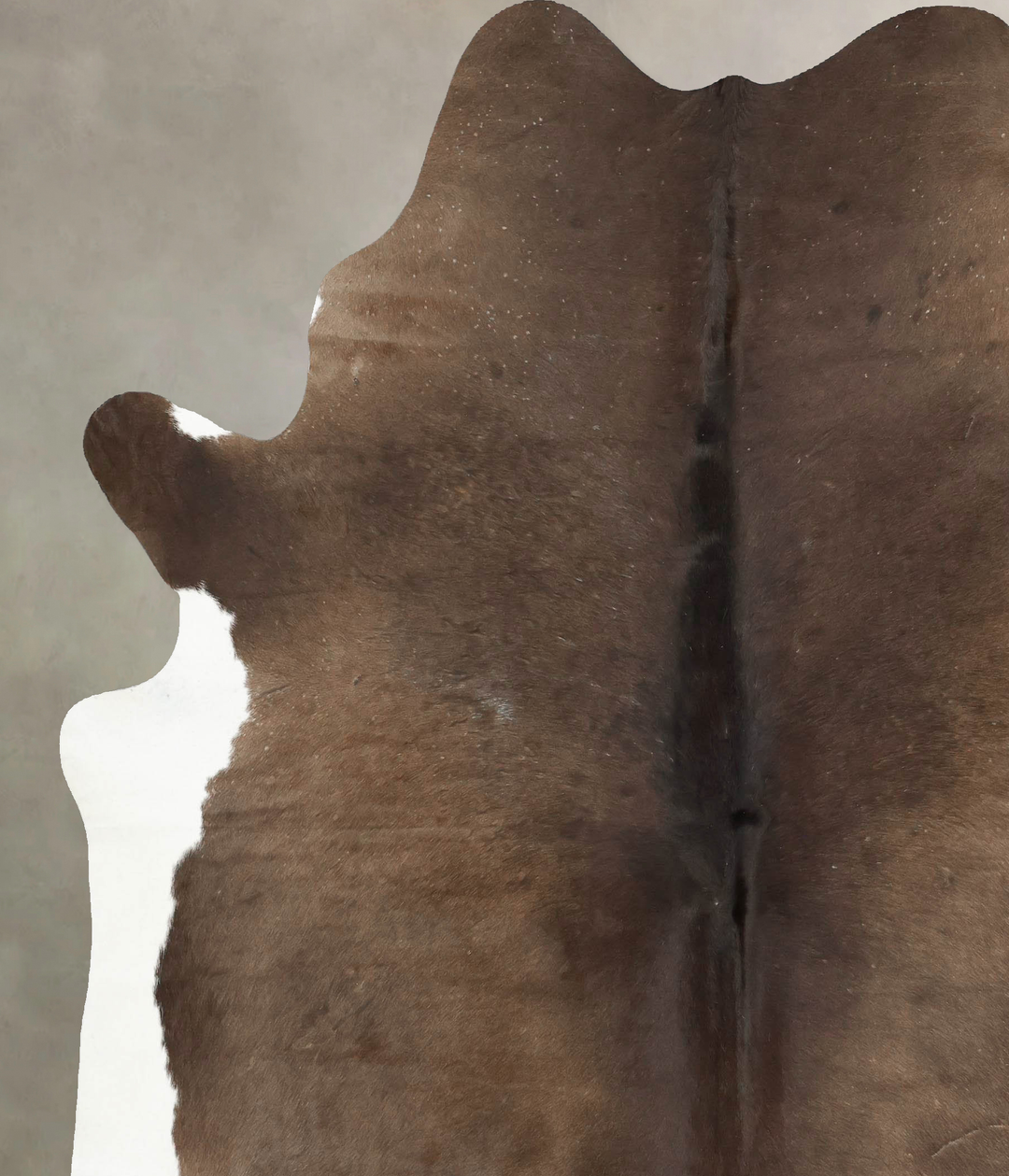 Chocolate and White XX-Large Brazilian Cowhide Rug 8'4"H x 7'1"W #B147