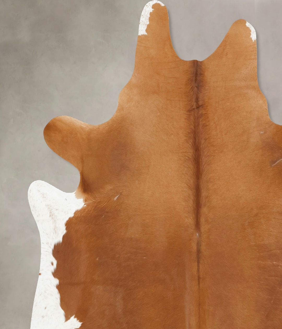 Solid Brown XX-Large Brazilian Cowhide Rug 7'8"H x 7'2"W #B14743 by Hu
