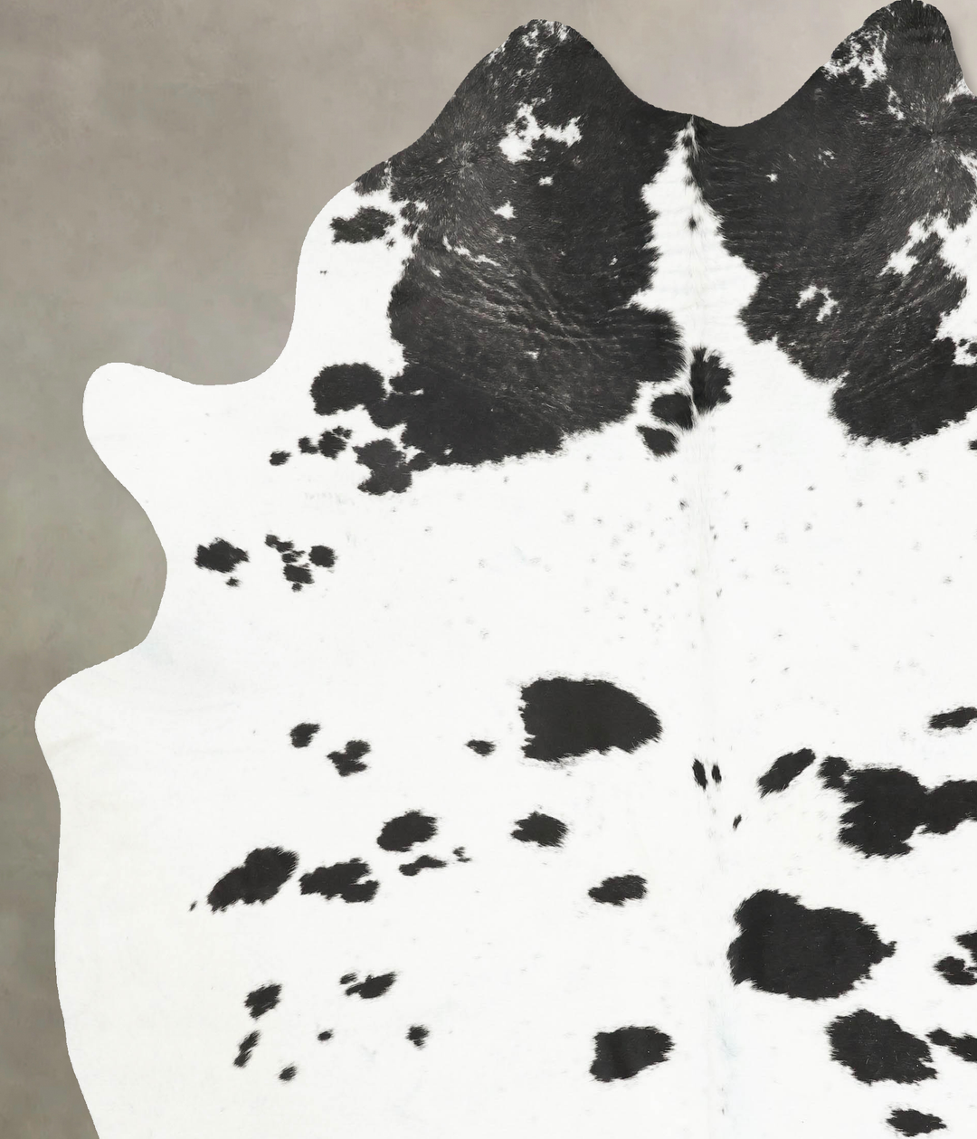 Black and White XX-Large Brazilian Cowhide Rug 8'5"H x 7'5"W #B14767 b