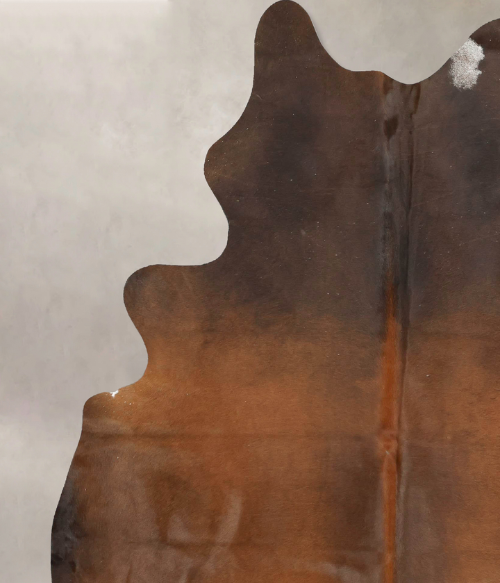 Warm Caramel XX-Large Brazilian Cowhide Rug 8'3"H x 6'6"W #B14776 by Hudson Hides