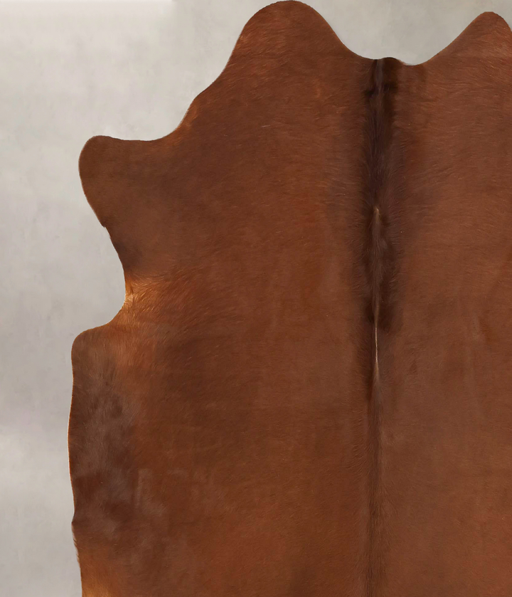 Solid Brown X-Large Brazilian Cowhide Rug 6'8"H x 6'6"W #B14785 by Hudson Hides
