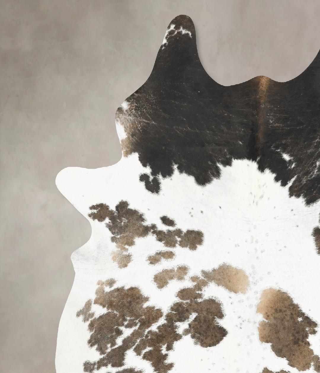 Chocolate and White XX-Large Brazilian Cowhide Rug 8'6"H x 6'10"W #B14
