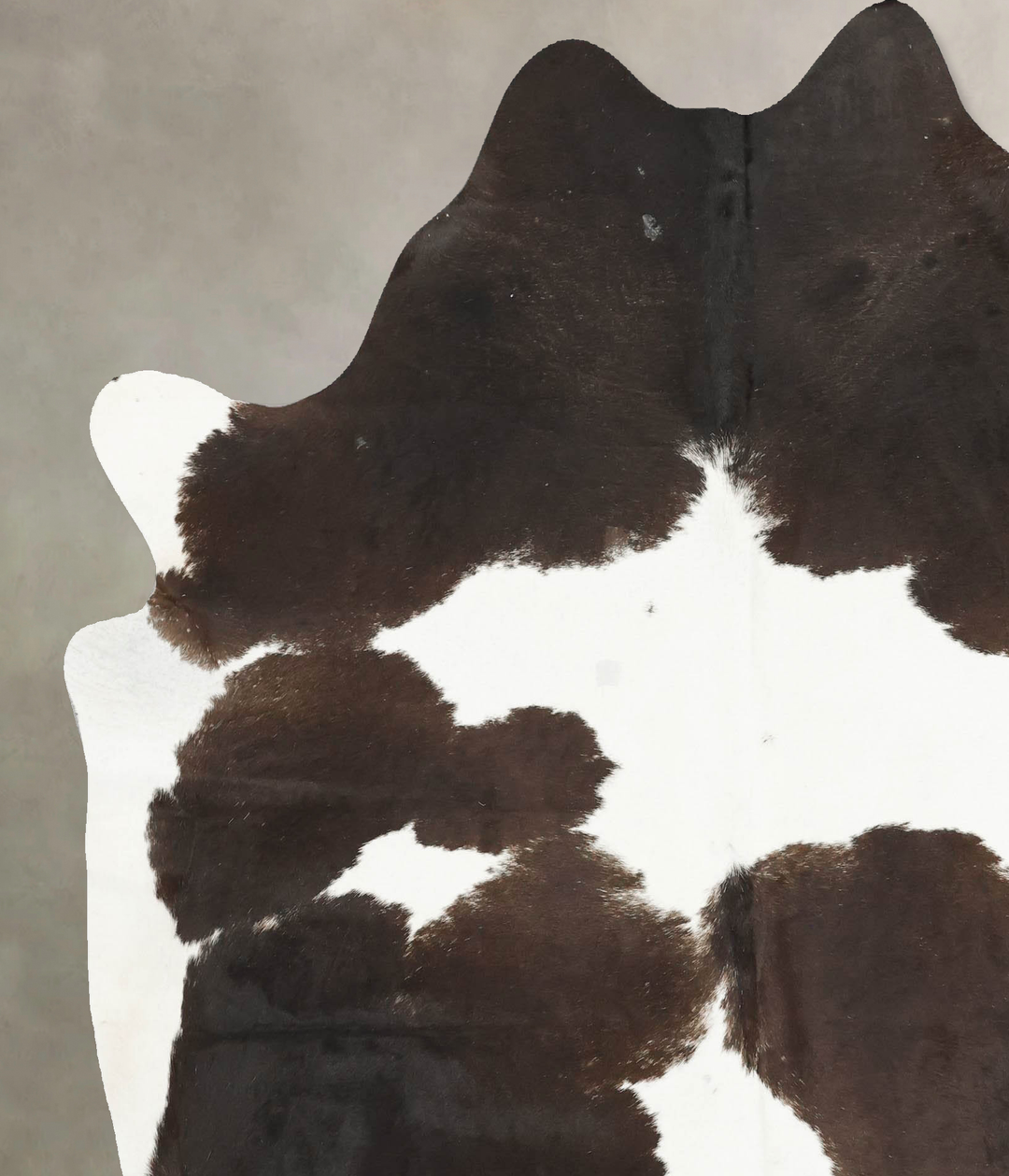 Chocolate and White X-Large Brazilian Cowhide Rug 7'3"H x 6'4"W #B1482